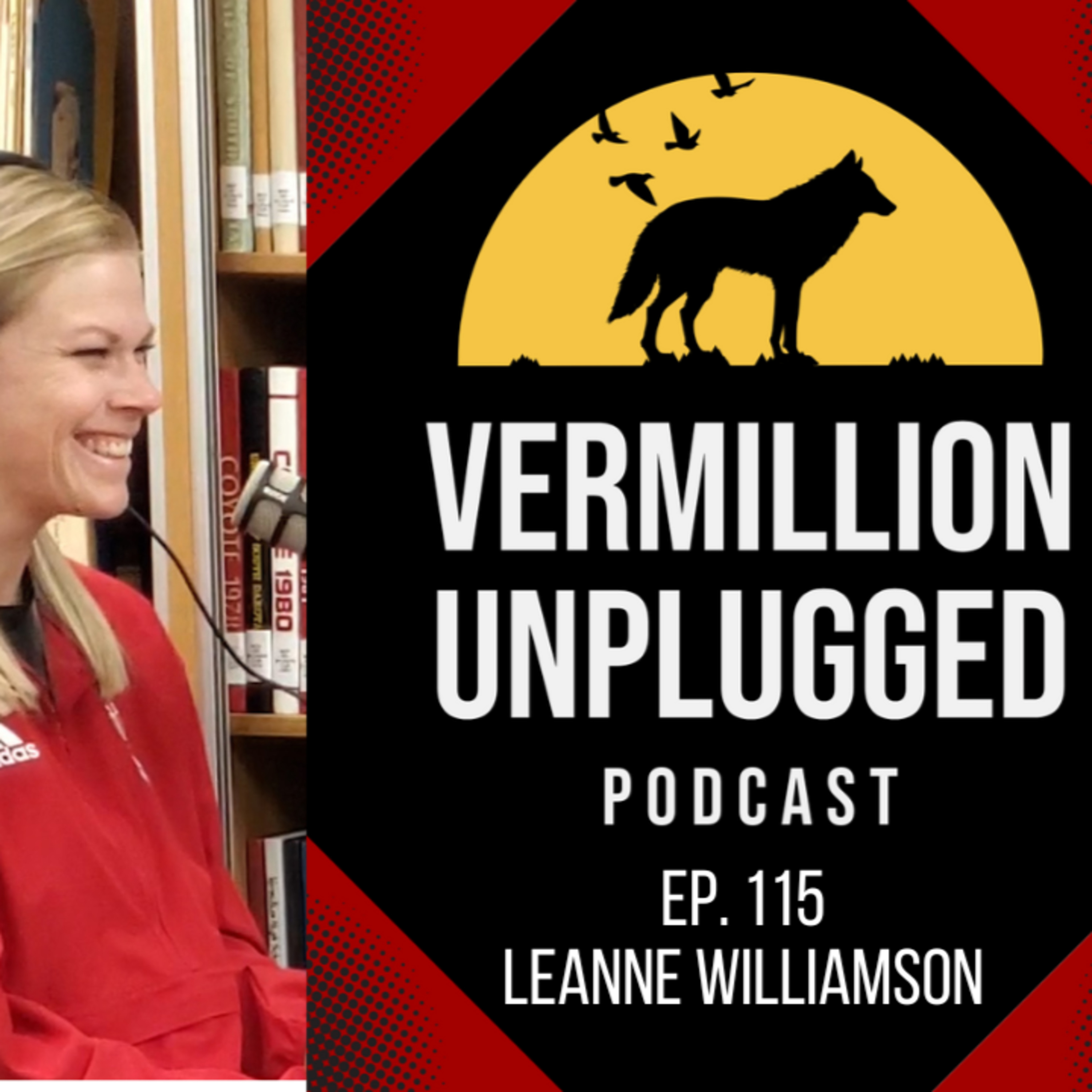 Vermillion Unplugged
