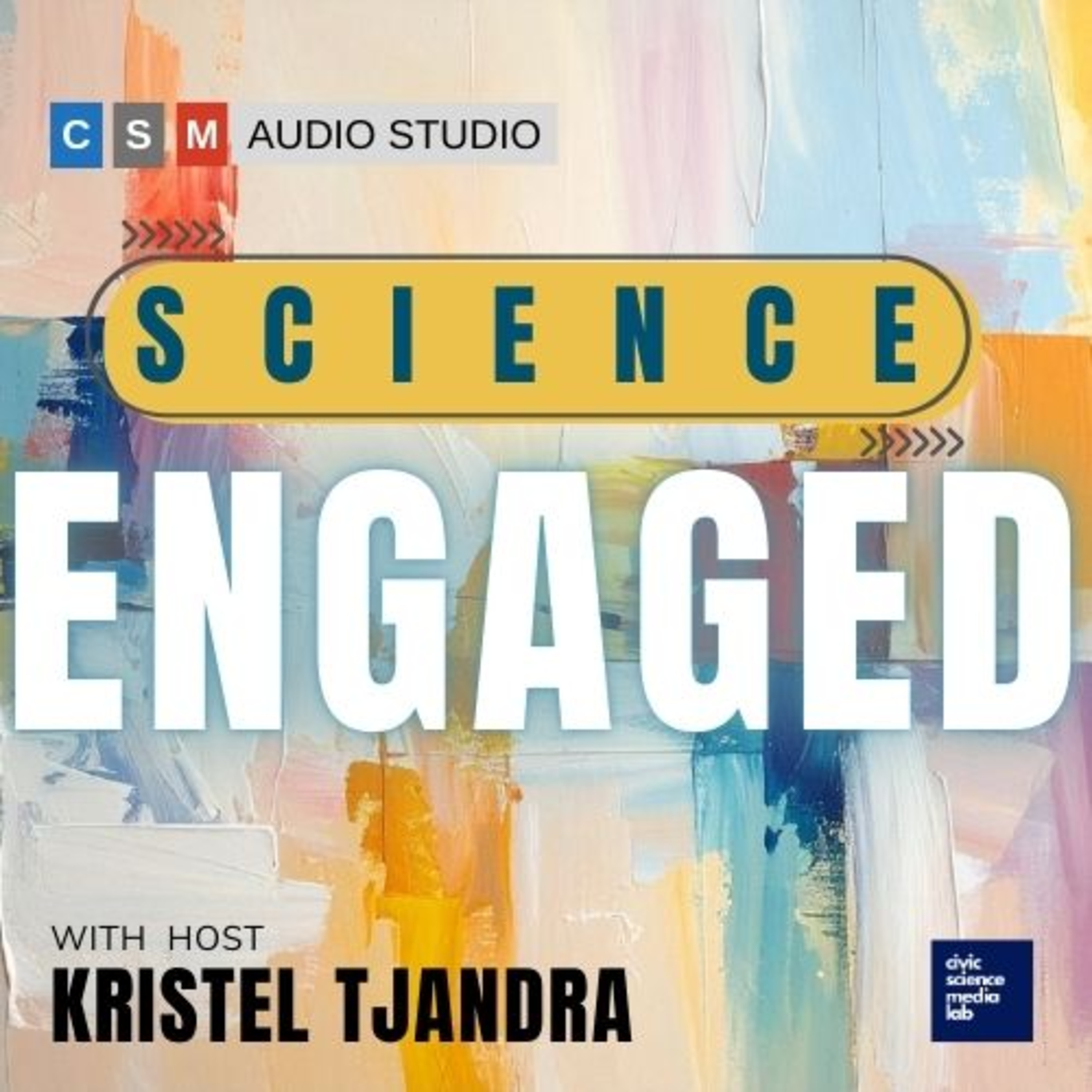 SE #3 – Milky Way Project co-creator Grace Wolf-Chase shares lessons learned from the participatory science initiative (S1:Ep3)