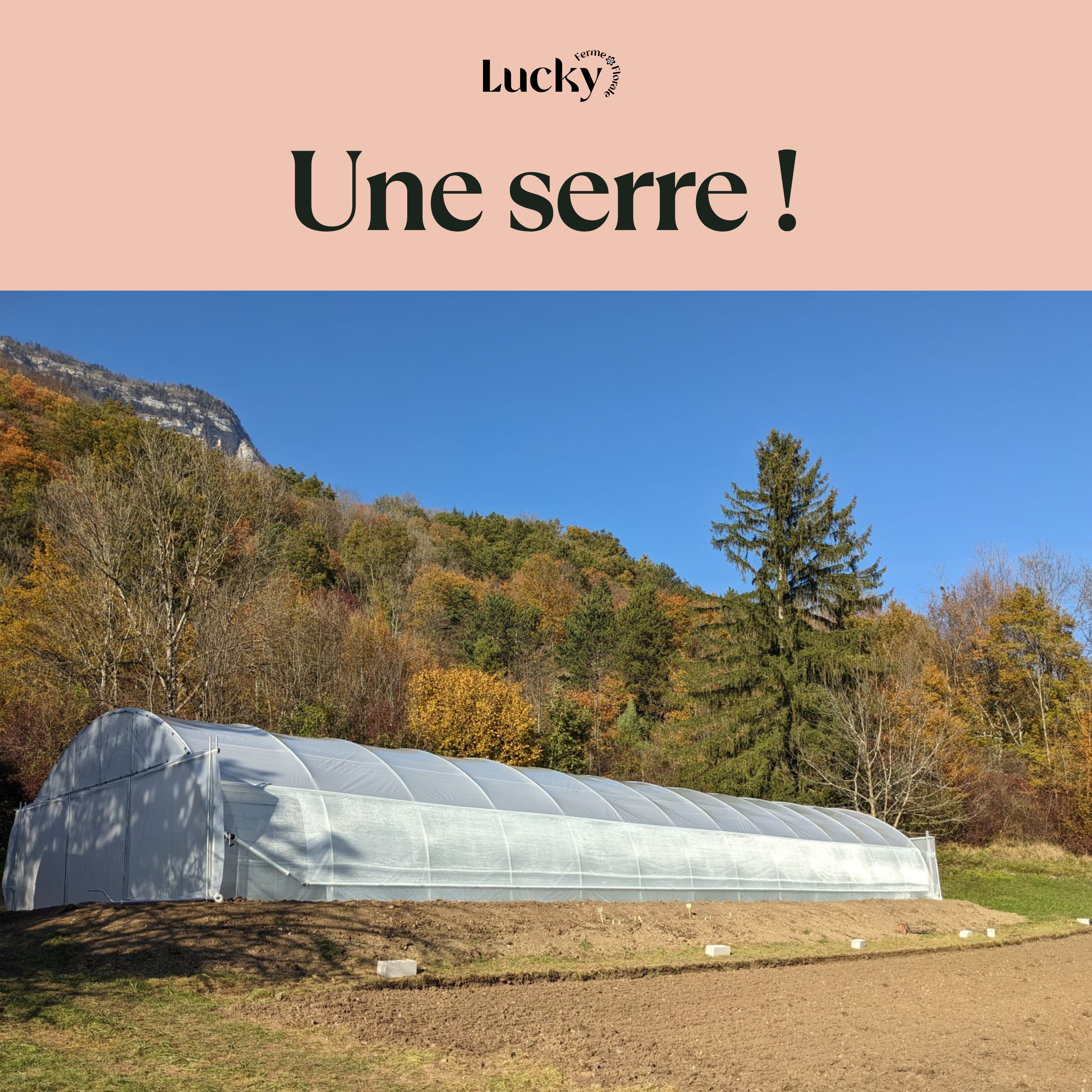 Parlons peu, parlons fleurs by Lucky