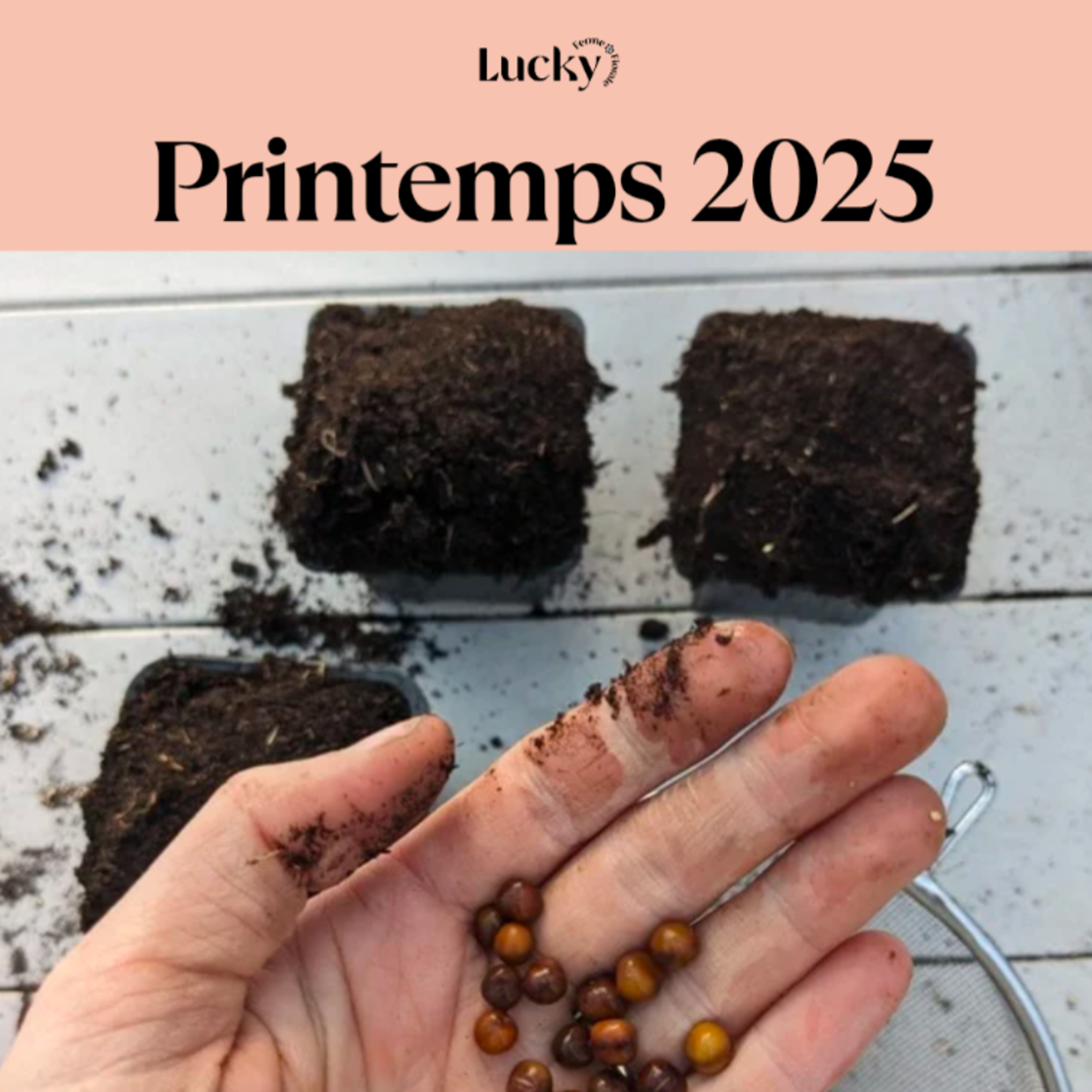 Ep 6 : Le printemps 2025 dans ma nouvelle ferme florale episode artwork