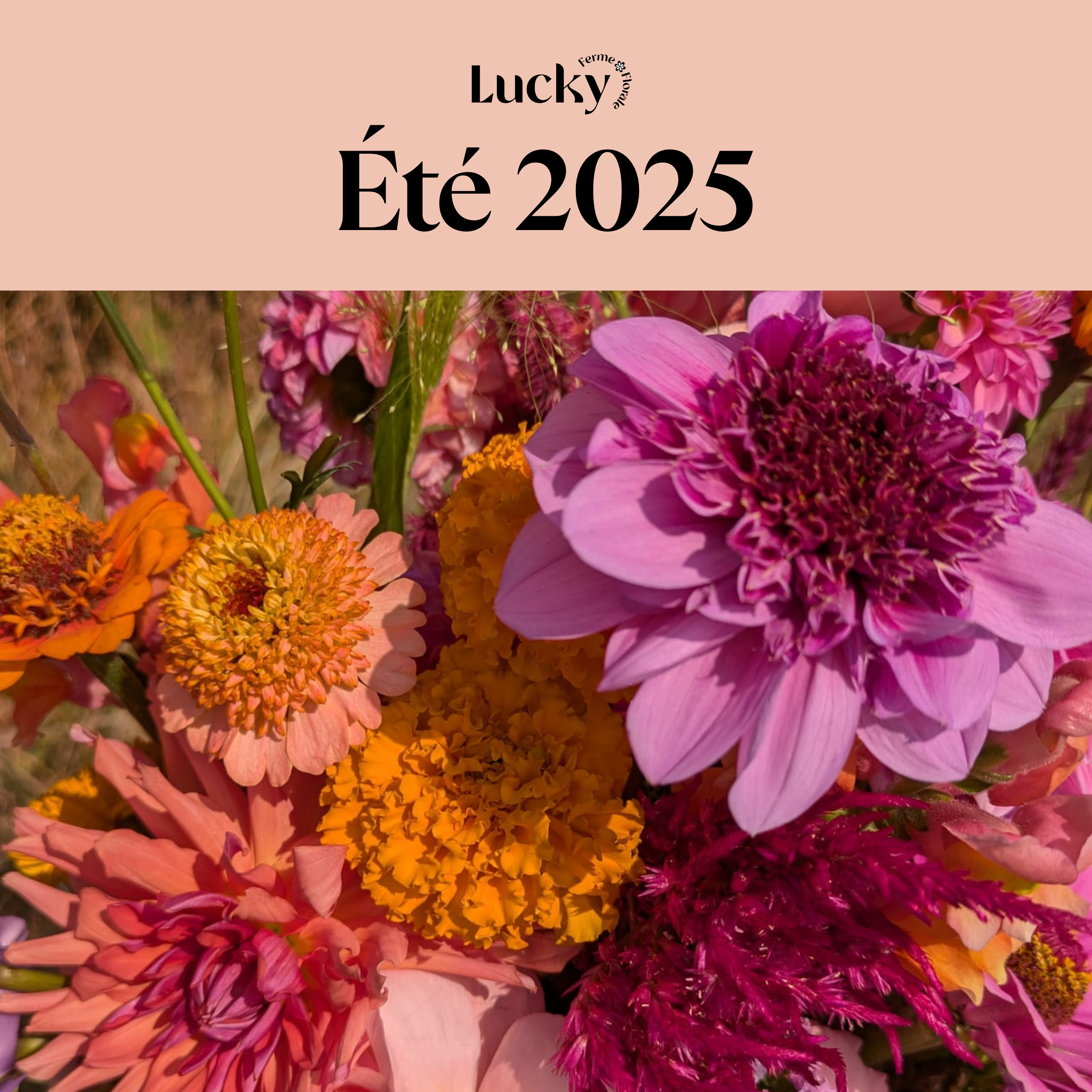 Ep.7 : L'été 2025 : ce que la saison m’a appris sur ce nouveau terrain (et ce que je ferai différemment en 2026) episode artwork