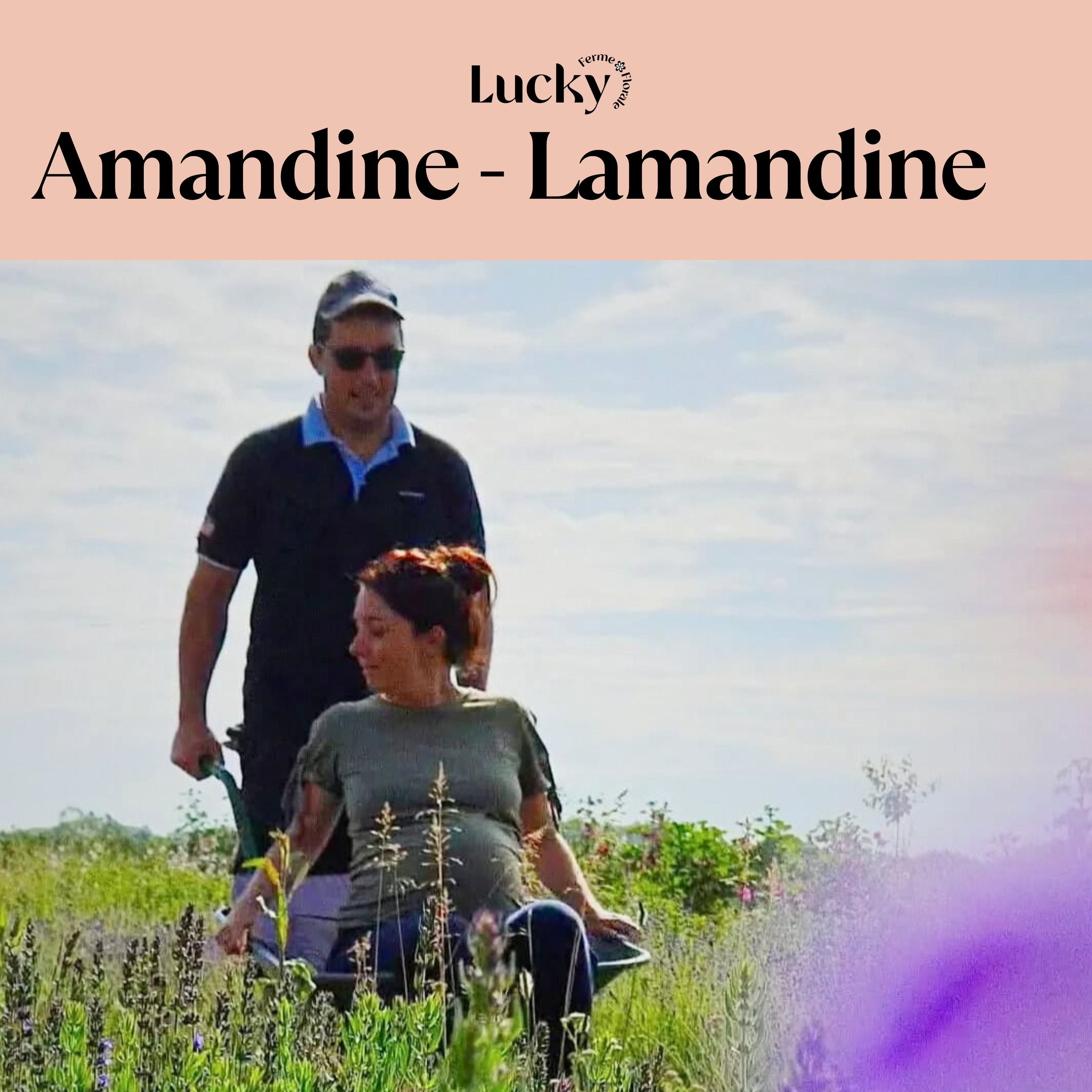Ep 8 : Amandine Deschamps - Lamandine : agriculture, maternité et équilibre - échange entre floricultrices episode artwork