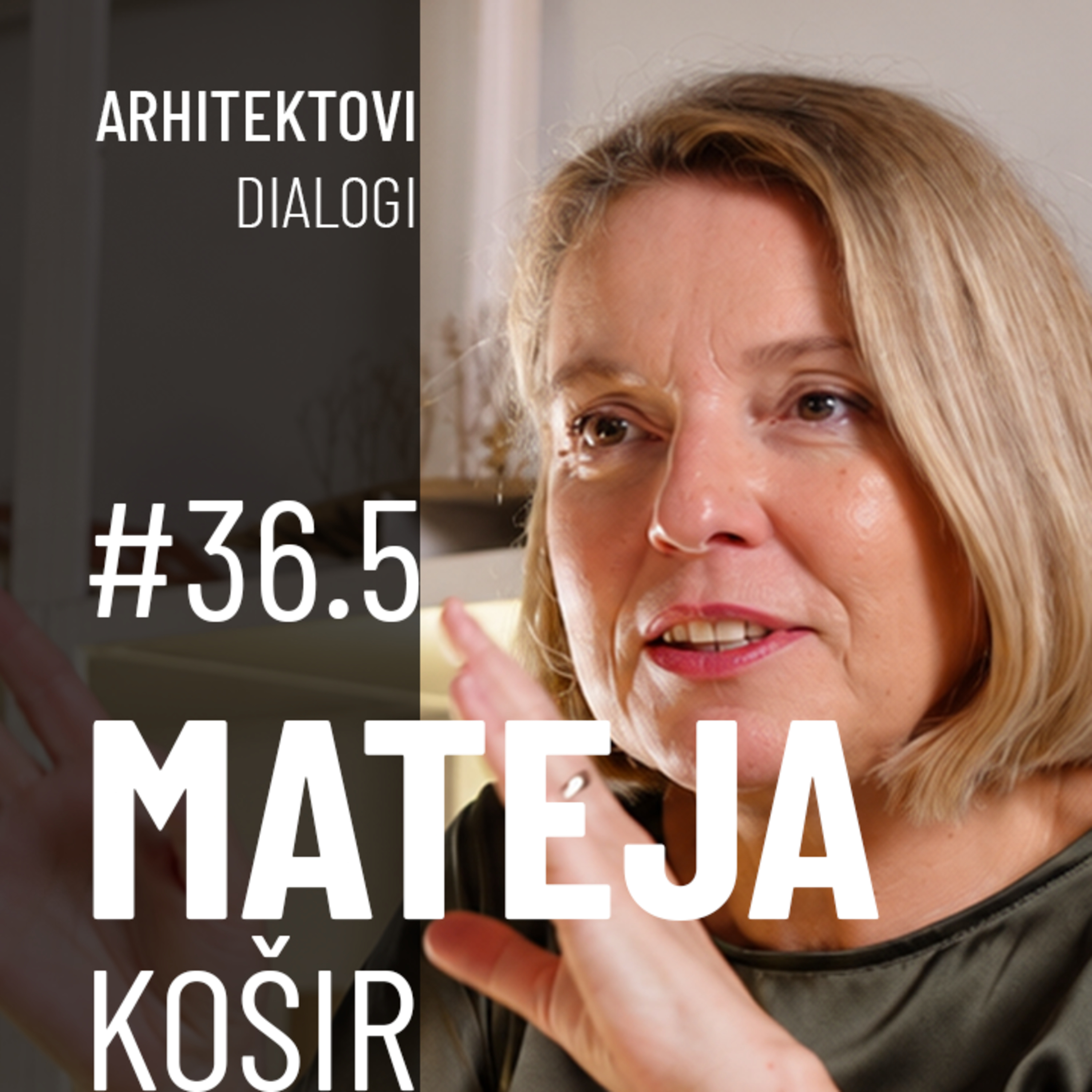MATEJA KOŠIR | Nagrade, slovenska krajina in sen o Plečniku | Arhitektovi dialogi #36.5