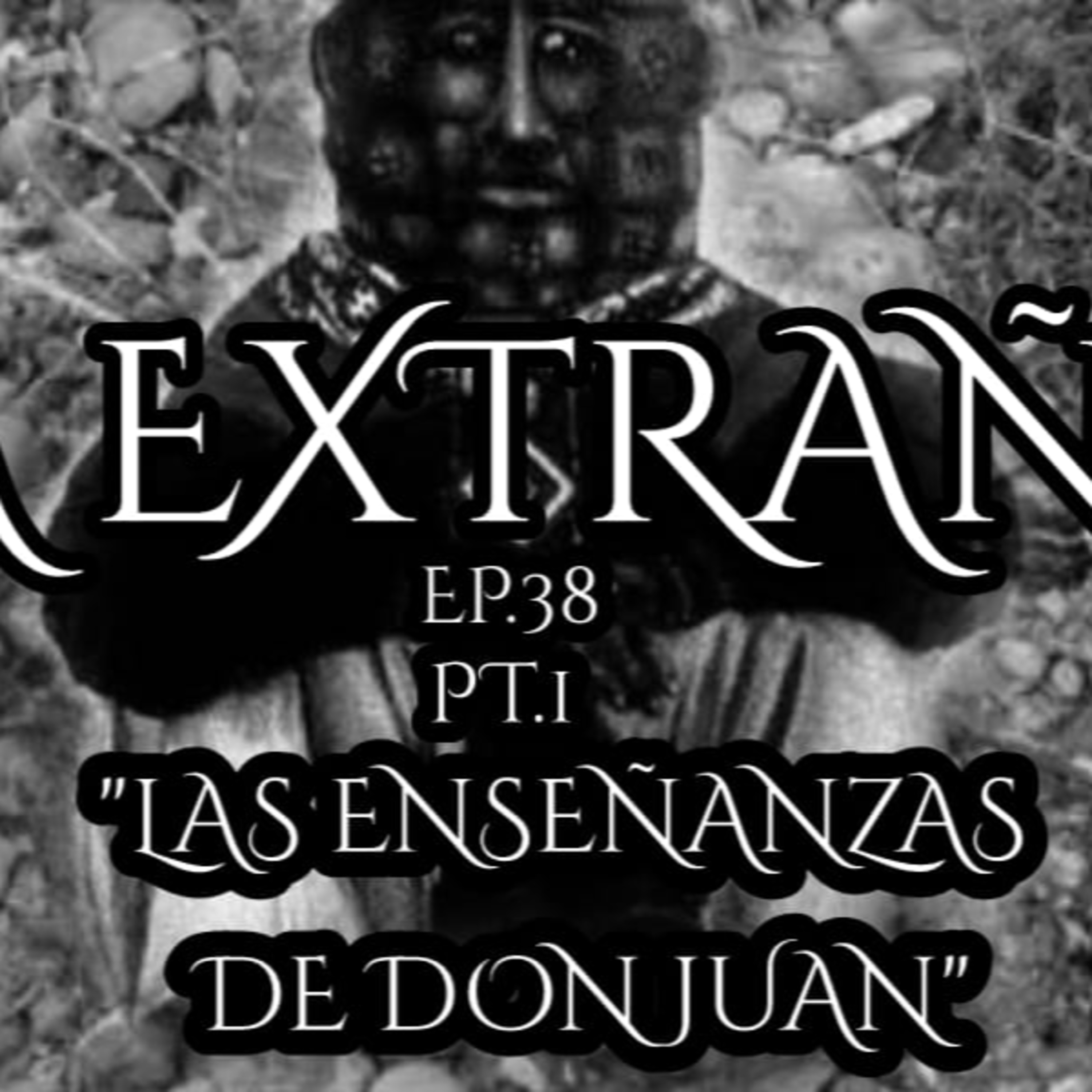 Alta extrañeza