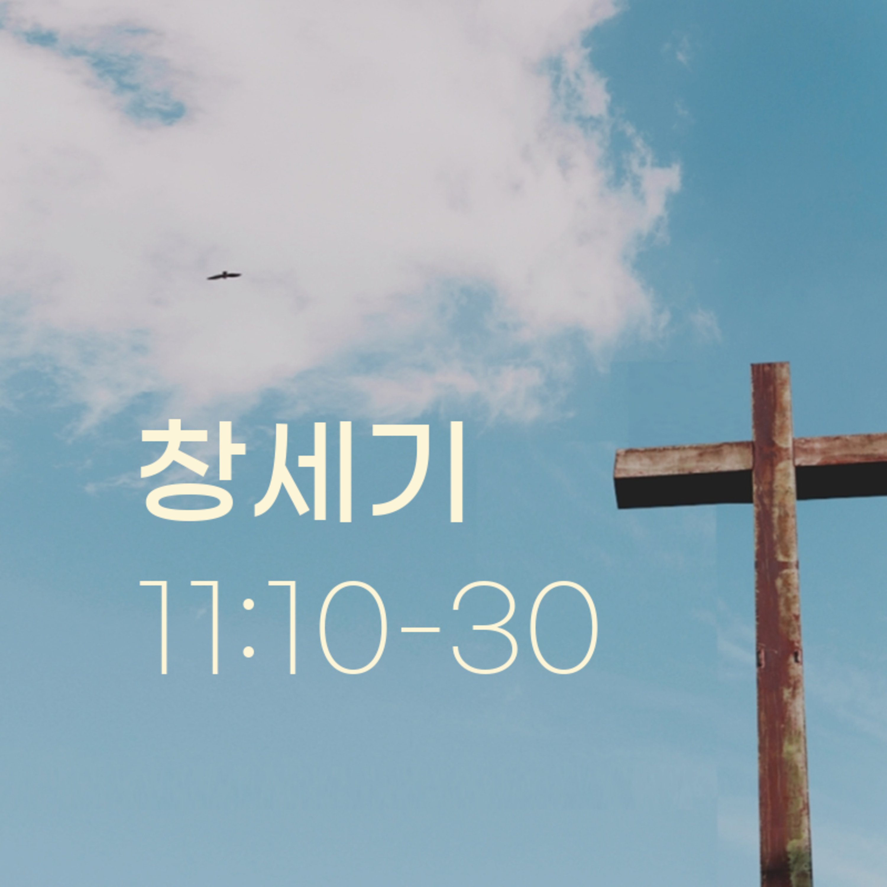 260116 새벽 | 창세기 11:10-30 | 대학촌교회 | 매일성경 episode artwork