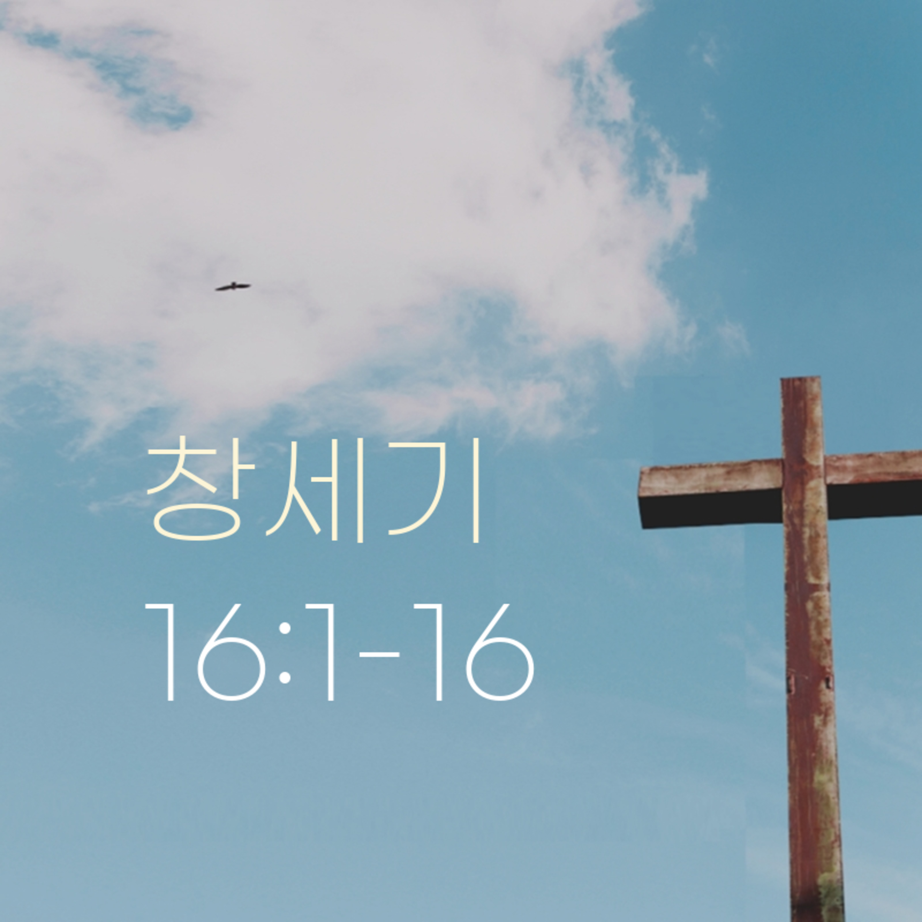 260122 새벽 | 창세기 16:1-16 | 대학촌교회 | 매일성경 episode artwork