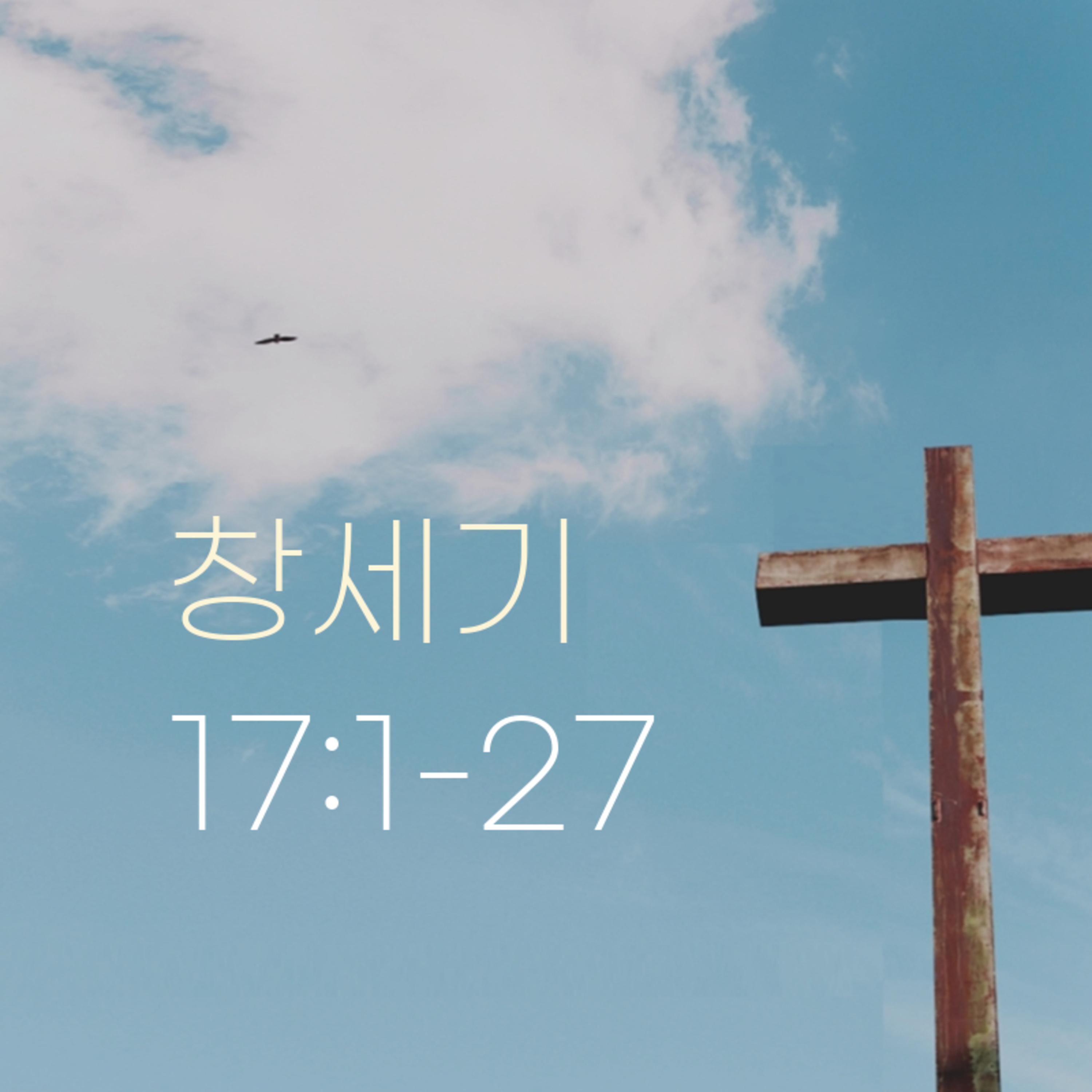 260123 새벽 | 창세기 17:1-27 | 대학촌교회 | 매일성경 episode artwork