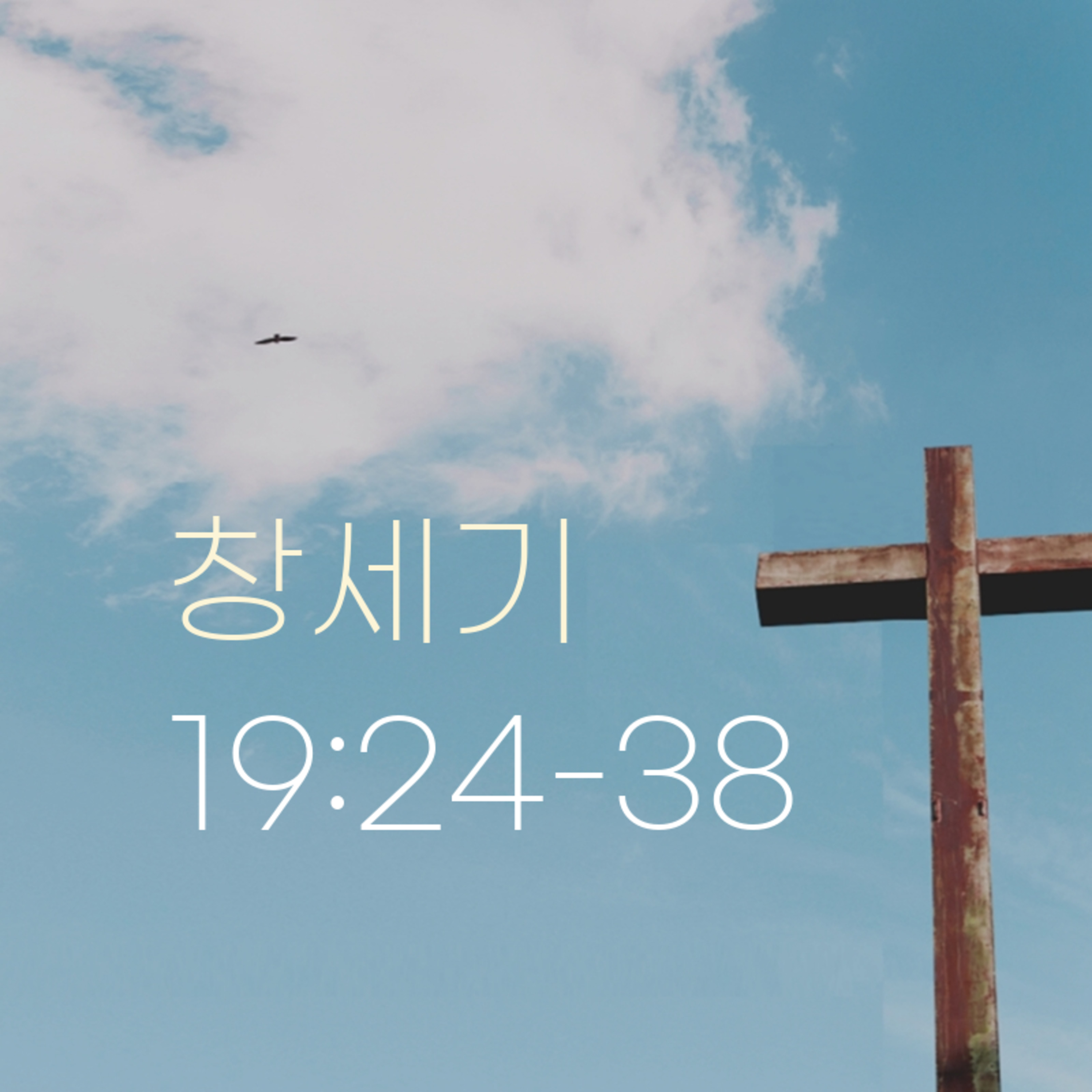 260128 새벽 | 창세기 19:24-38 | 대학촌교회 | 매일성경 episode artwork
