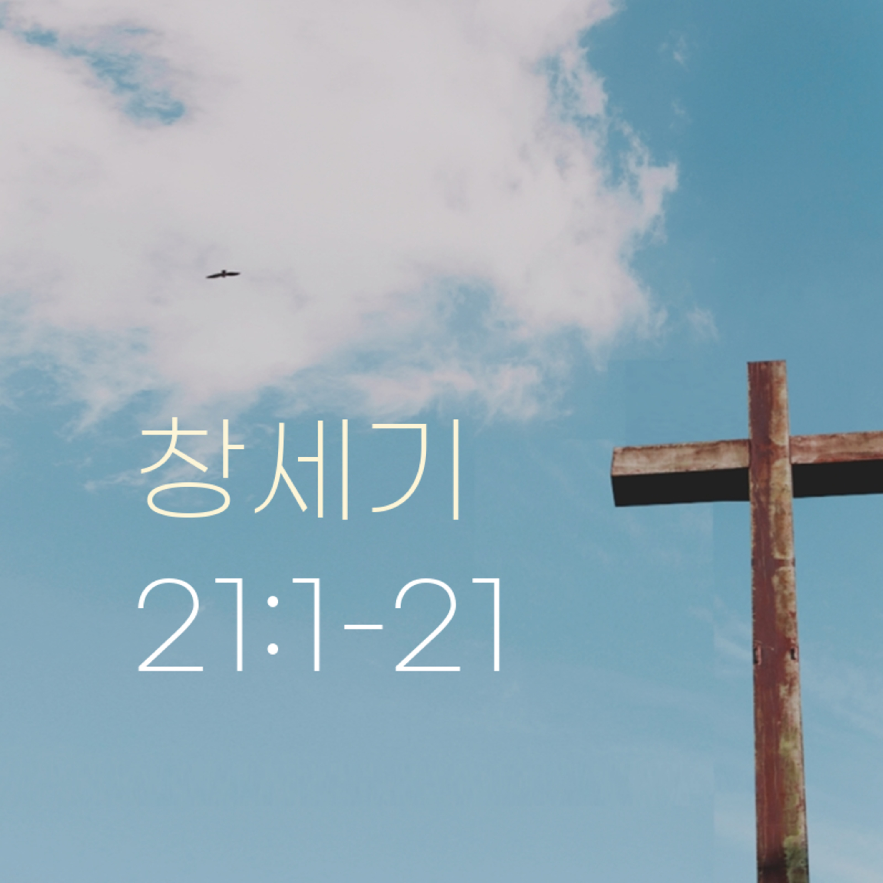 260130 새벽 | 창세기 21:1-21 | 대학촌교회 | 매일성경 episode artwork
