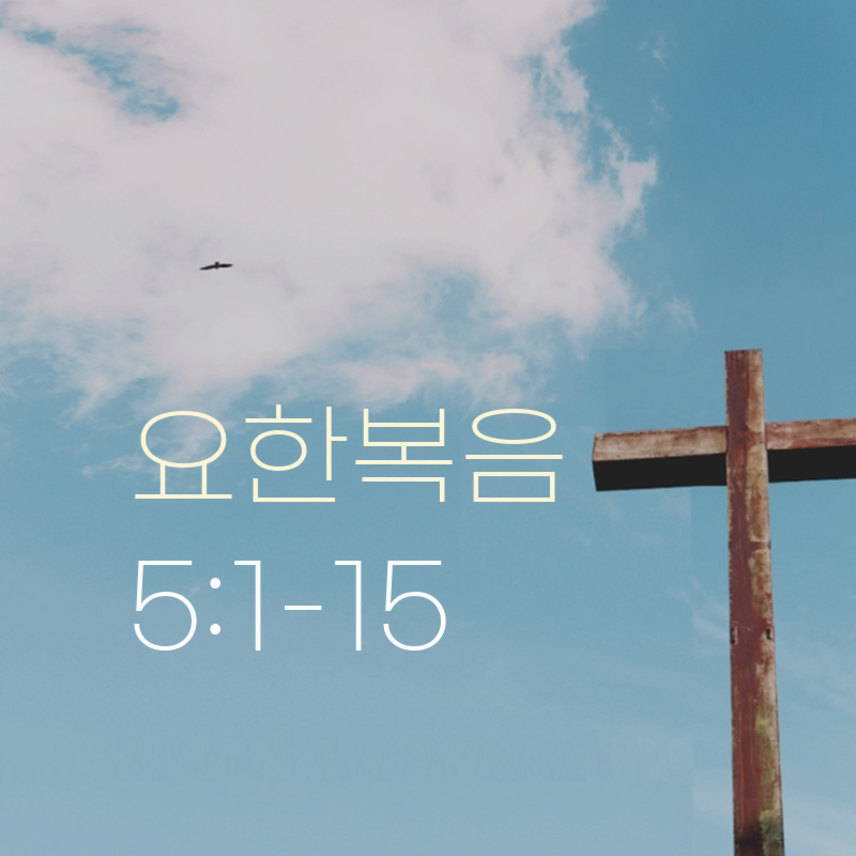 260213 새벽 | 요한복음 5:1-15 | 대학촌교회 | 매일성경 episode artwork