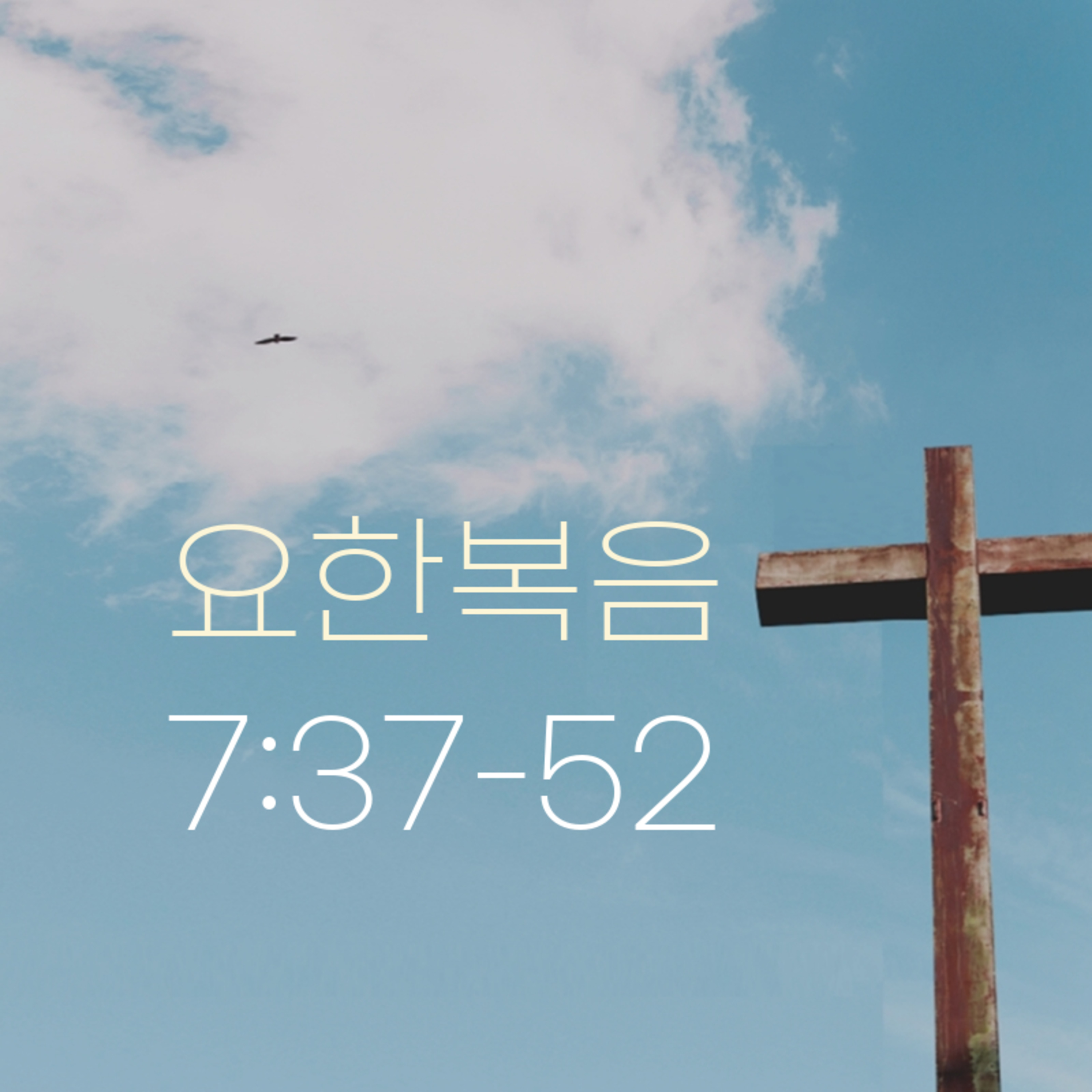 260224 새벽 | 요한복음7:37-52 | 대학촌교회 | 매일성경 episode artwork