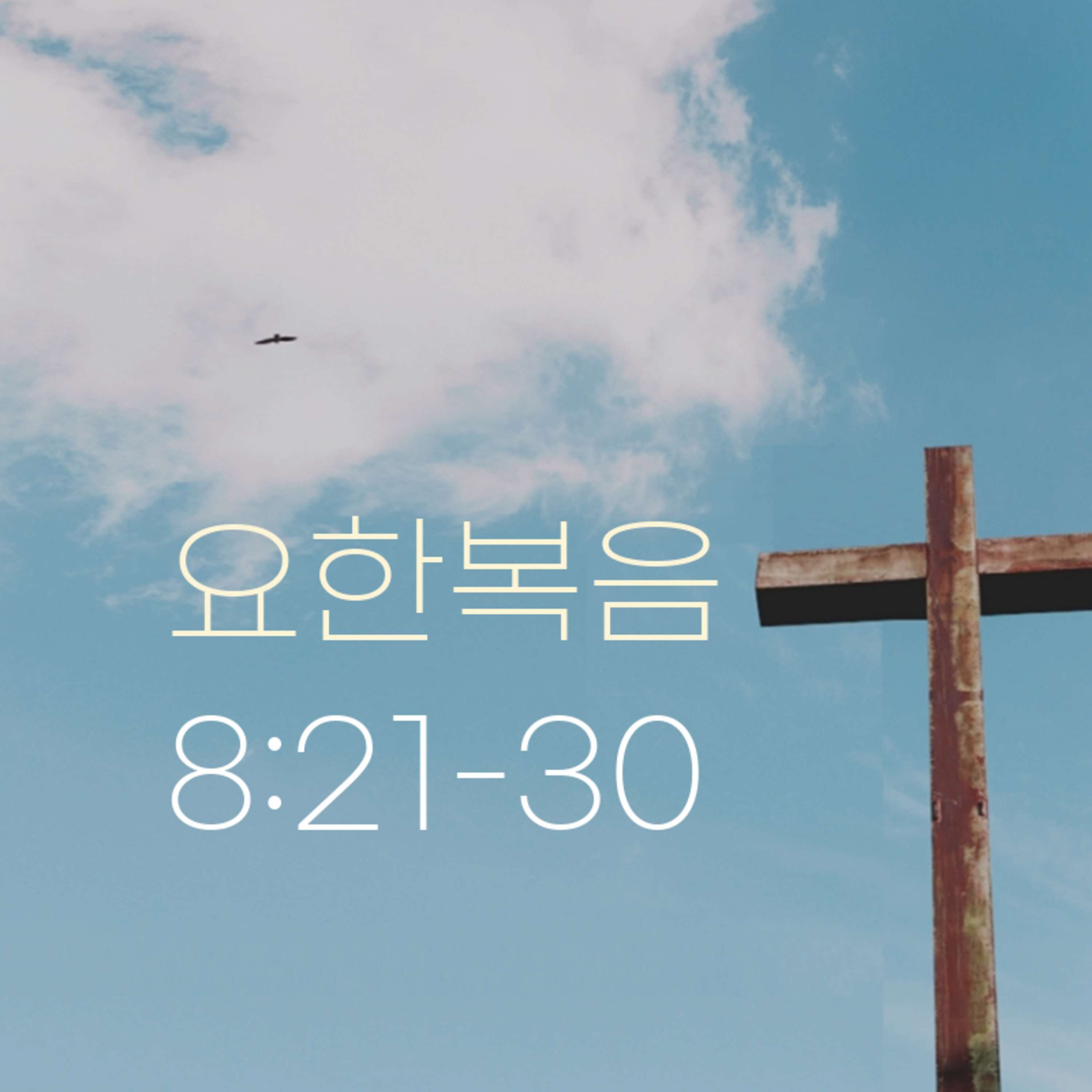 260226 새벽 | 요한복음 8:21-30 | 대학촌교회 | 매일성경 episode artwork
