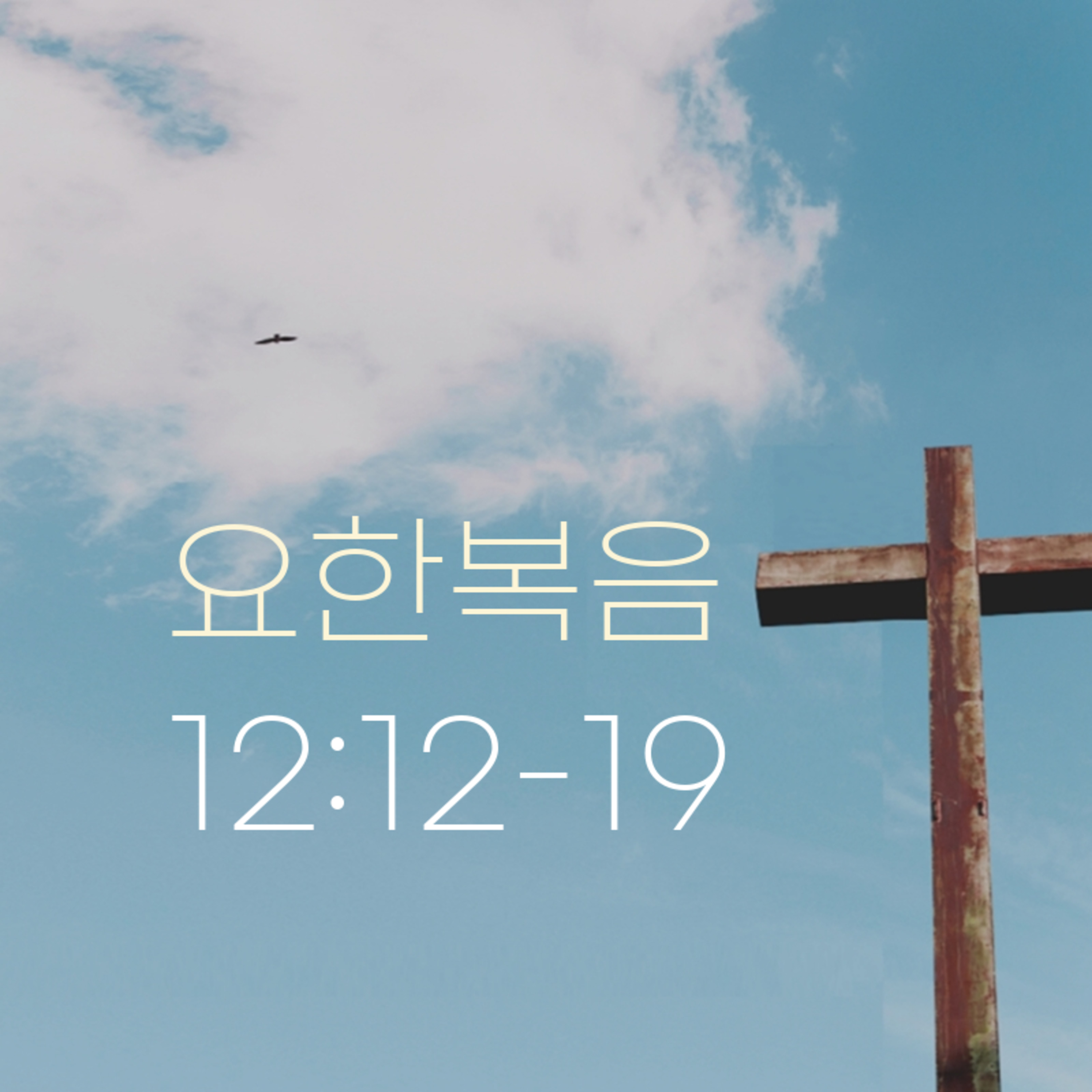 260312 새벽 | 요한복음 12:12-19 | 대학촌교회 | 매일성경 episode artwork