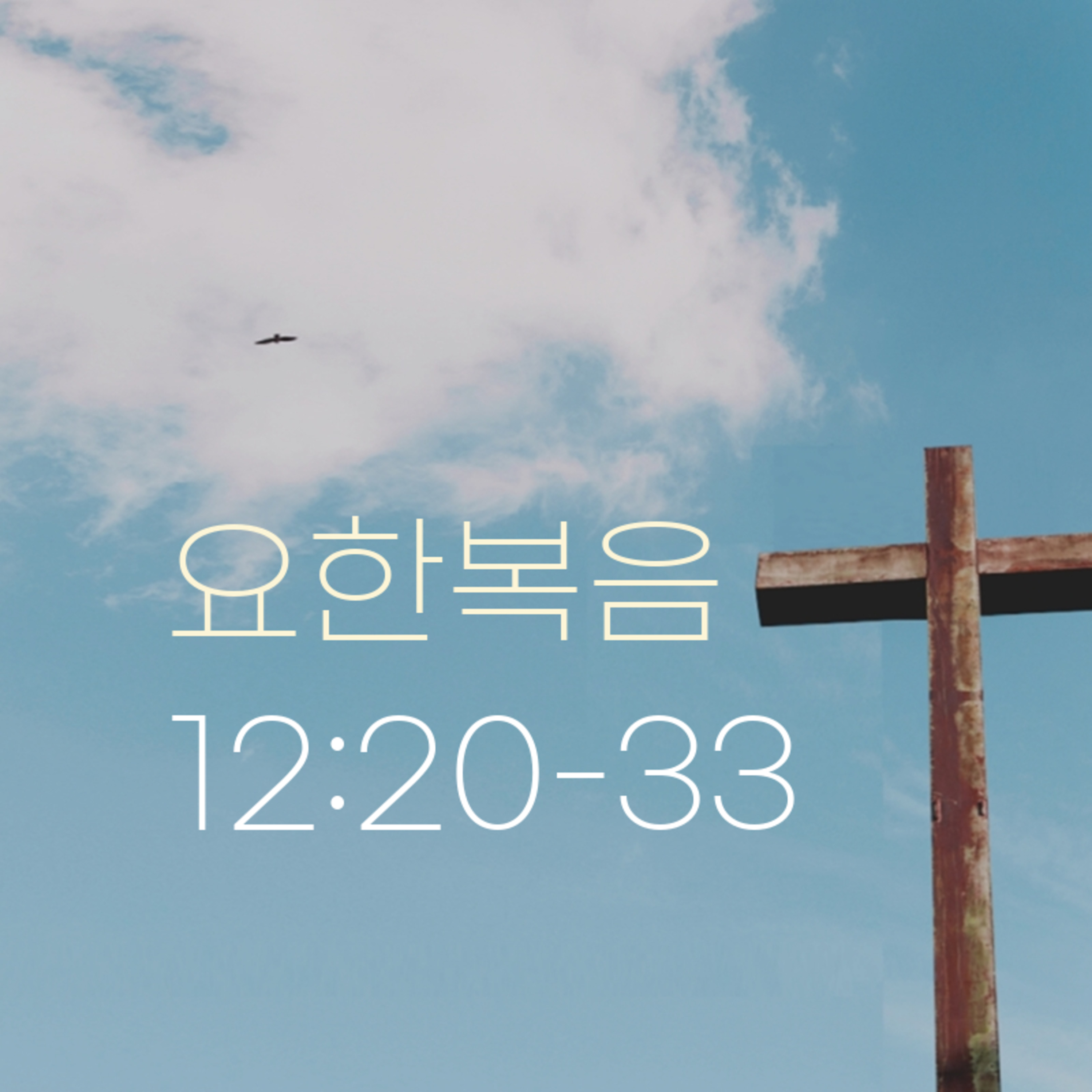 260313 새벽 | 요한복음 12:20-33 | 대학촌교회 | 매일성경 episode artwork