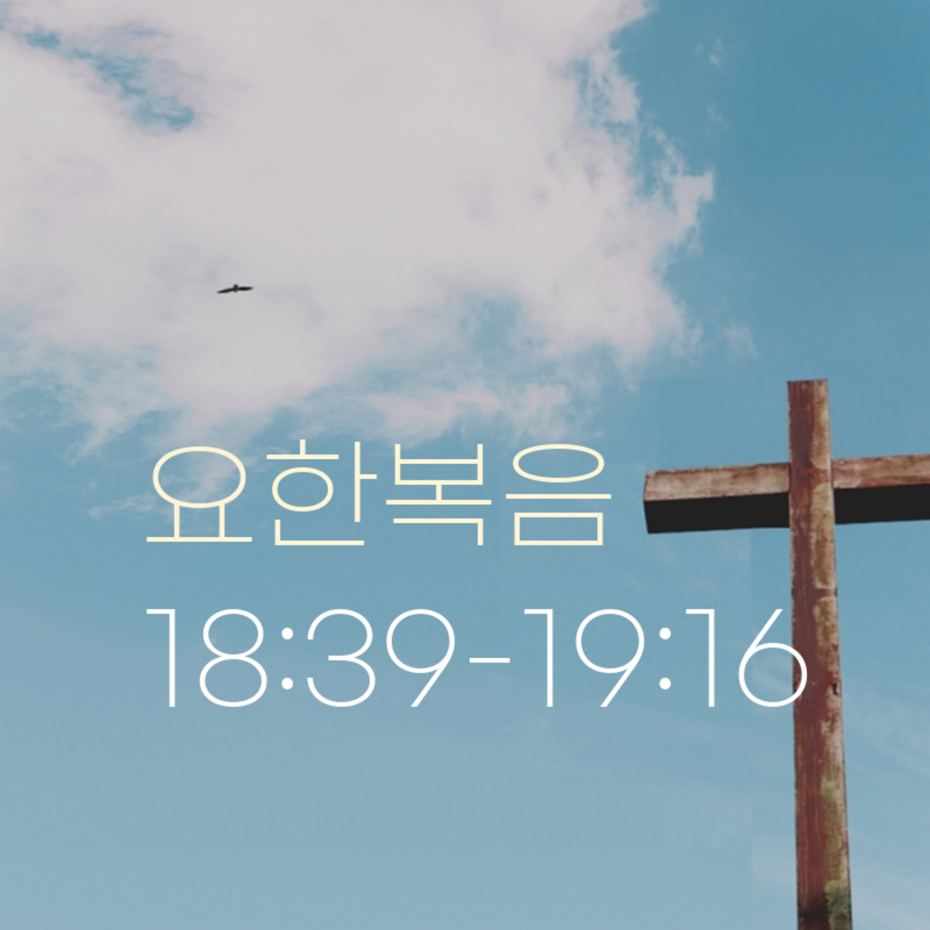 260401 새벽 | 요한복음 18:39-19:16 | 대학촌교회 | 매일성경 episode artwork