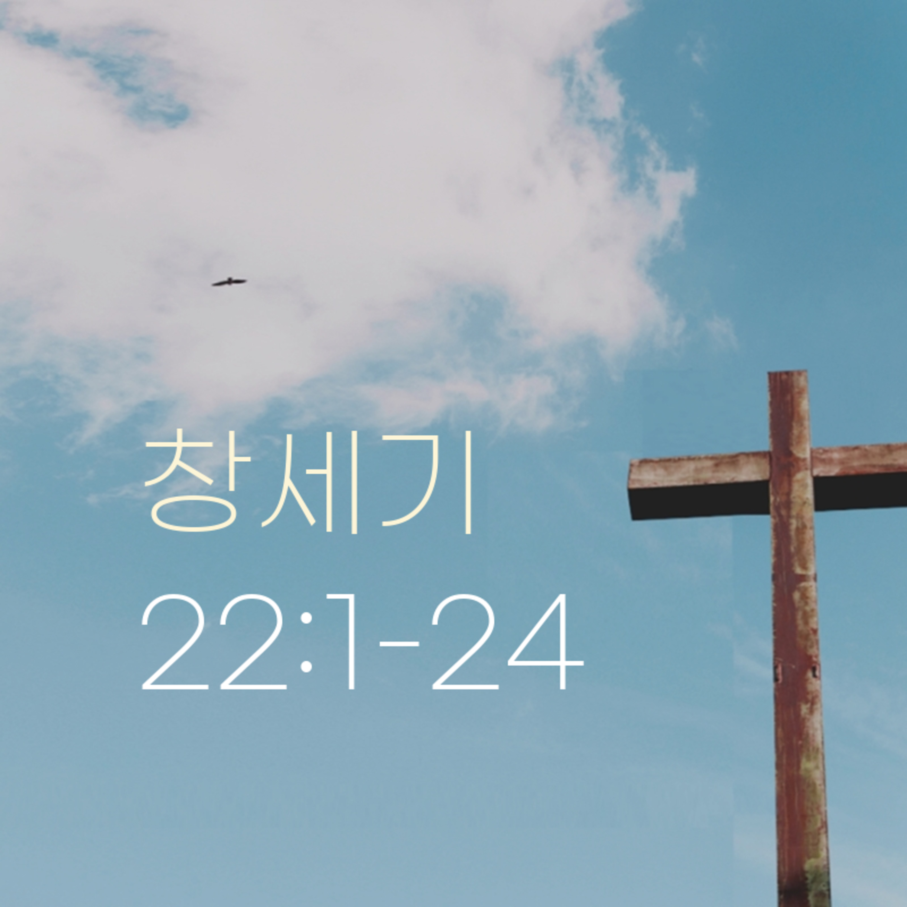 260409 새벽 | 창세기 22:1-24 | 대학촌교회 | 매일성경 episode artwork