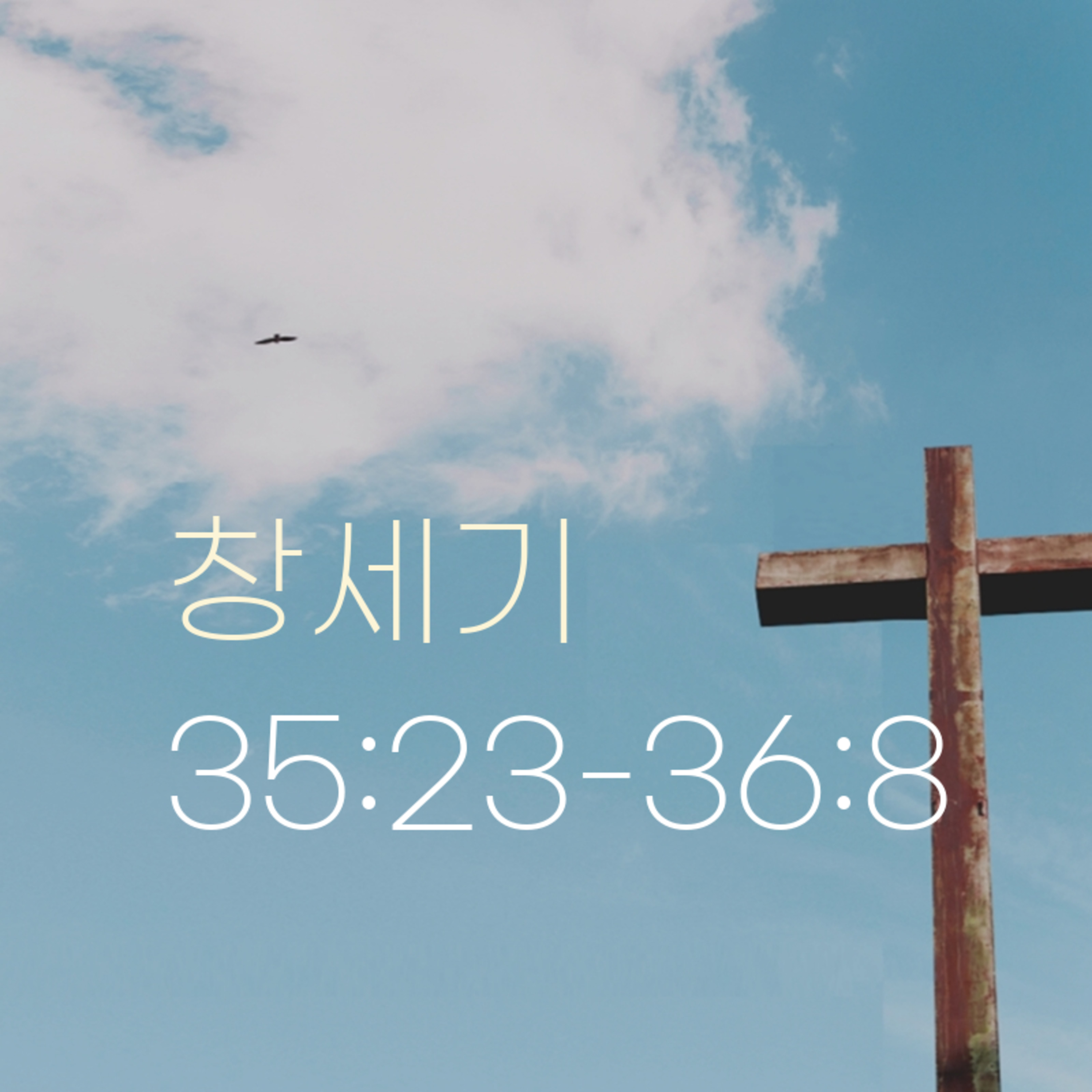 260505 새벽 | 창세기 35:23-36:8 | 대학촌교회 | 매일성경 episode artwork