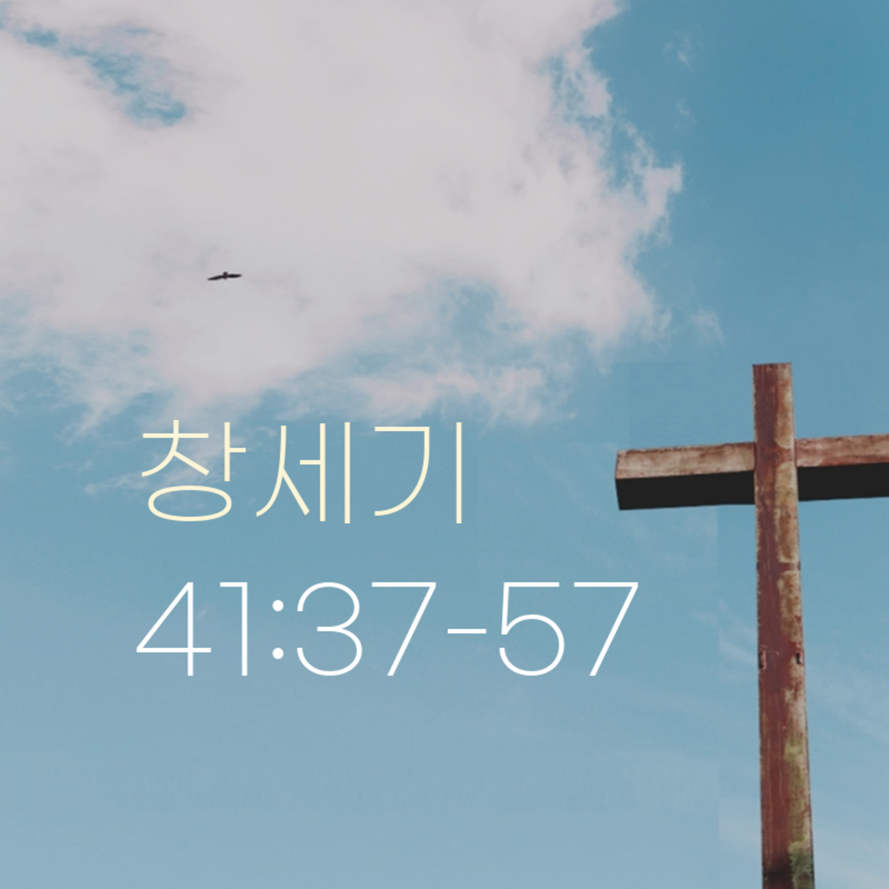 260514 새벽 | 창세기 41:37-57 | 대학촌교회 | 매일성경 episode artwork