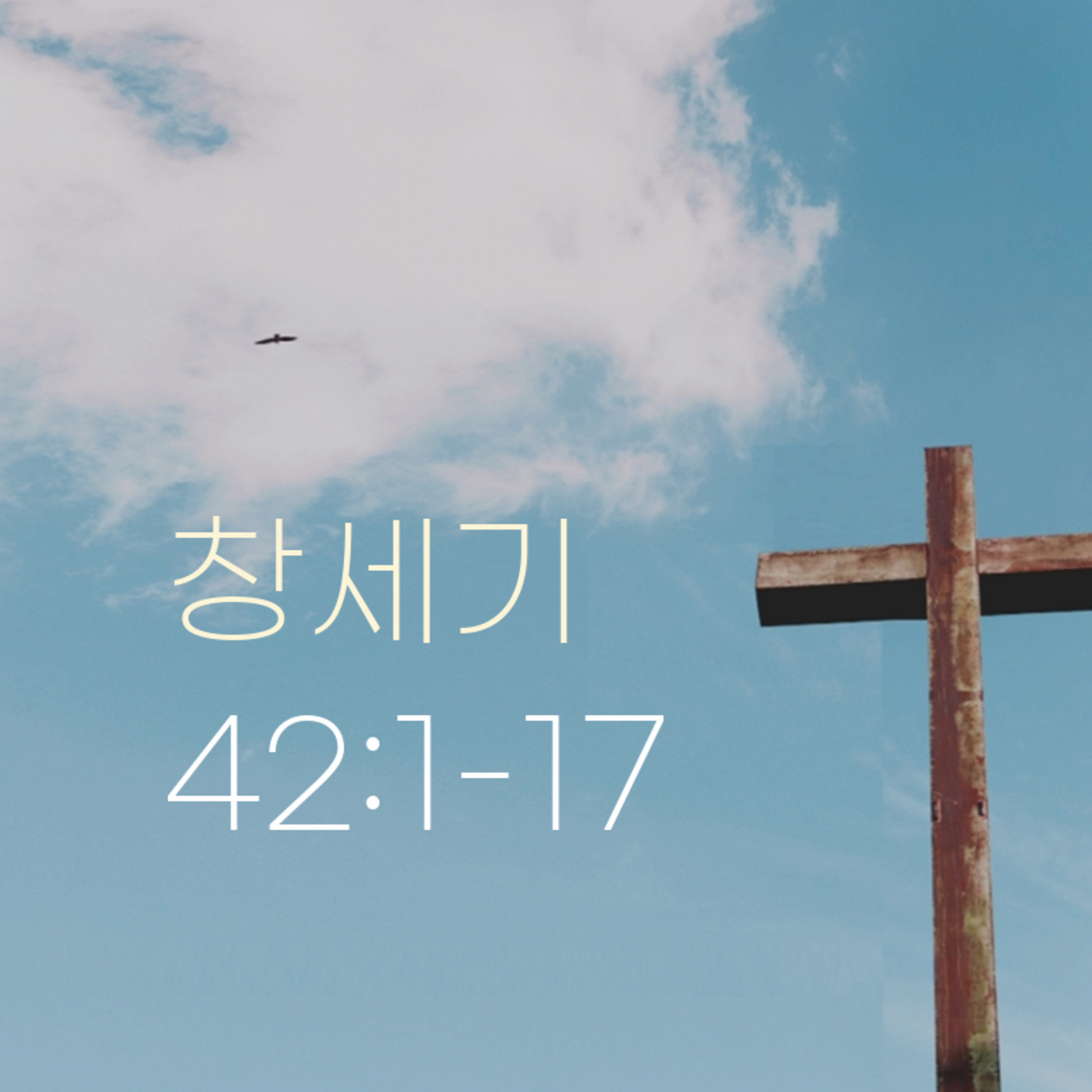 260515 새벽 | 창세기 42:1-17 | 대학촌교회 | 매일성경 episode artwork