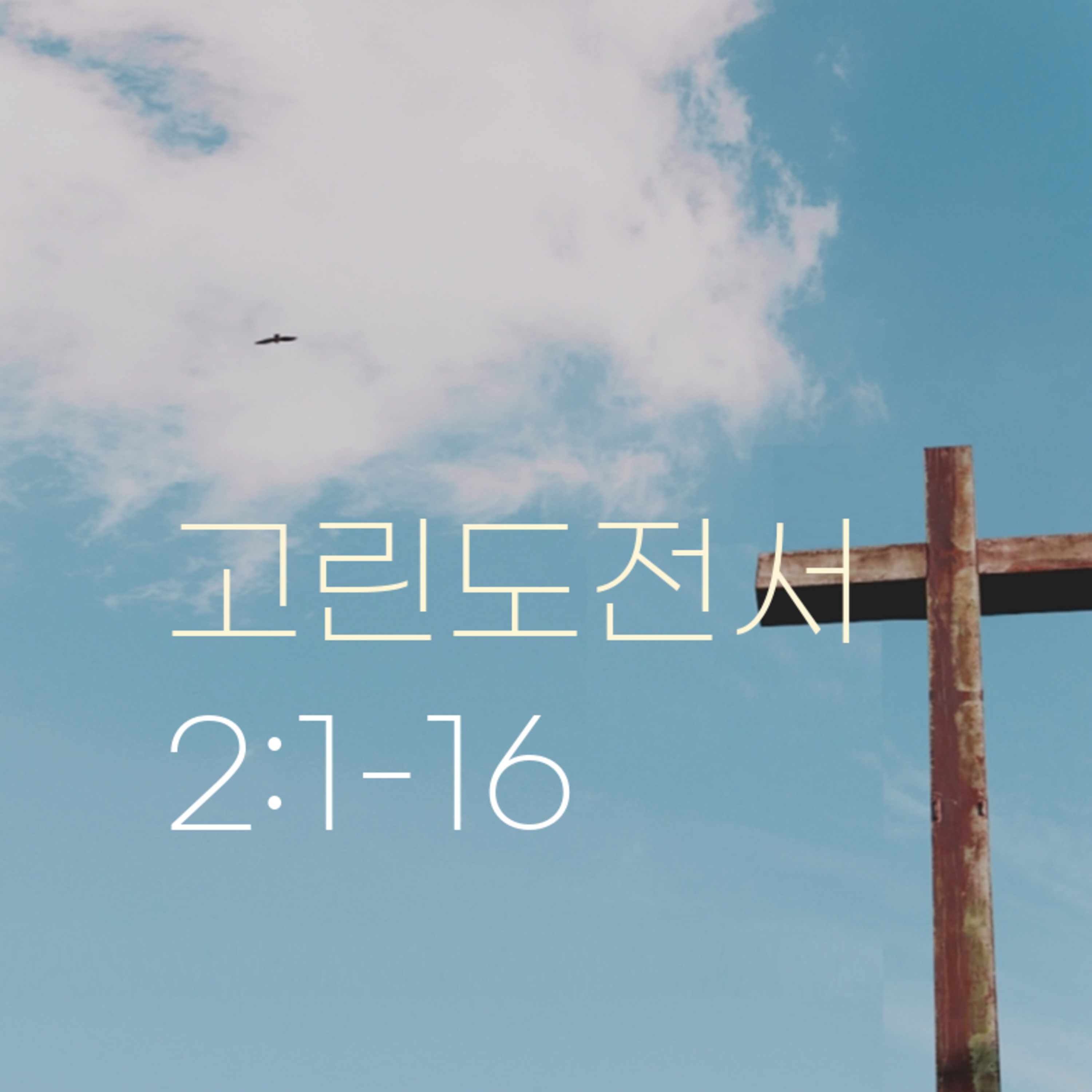 260604 새벽 | 고린도전서 2:1-16 | 대학촌교회 | 매일성경 episode artwork