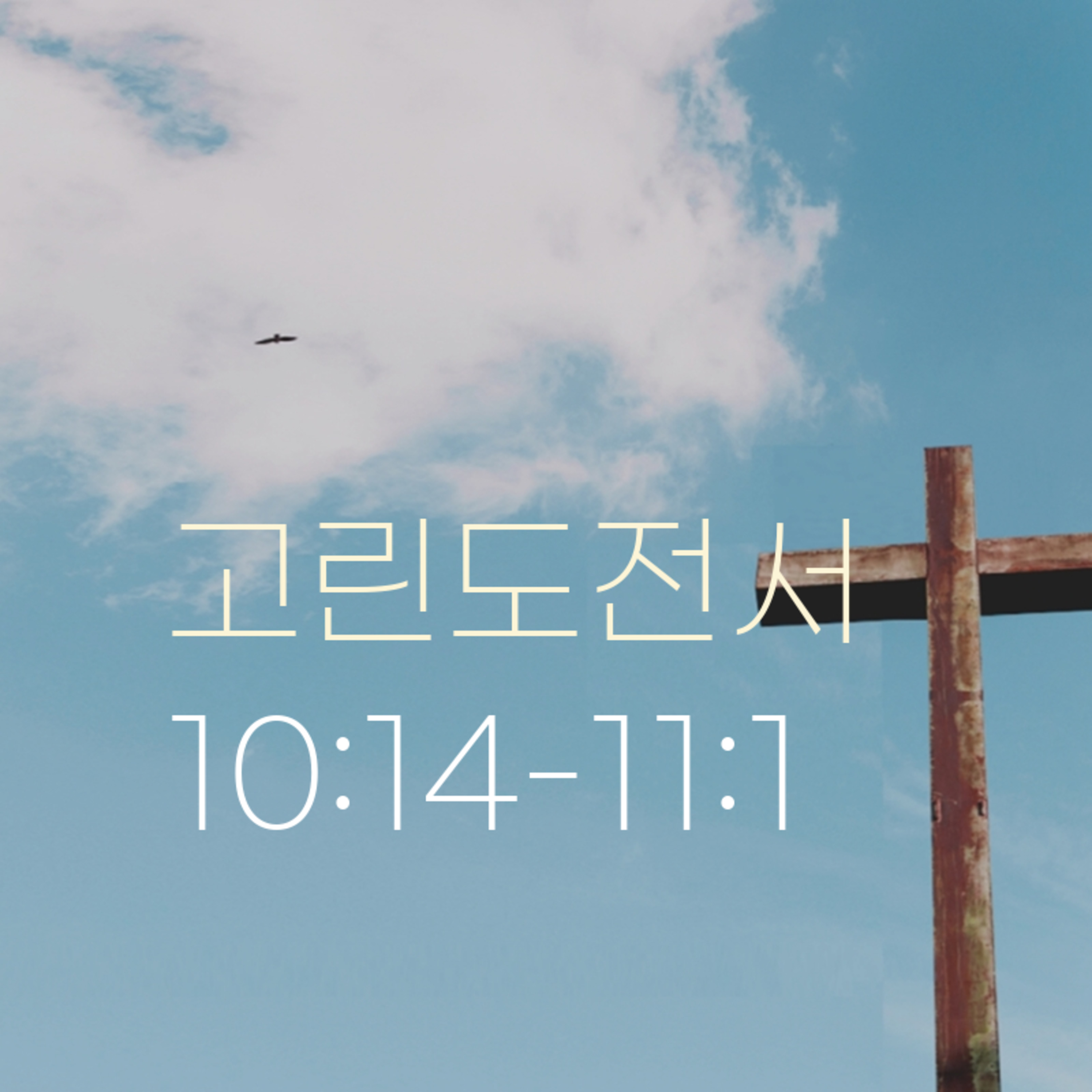 260616 새벽 | 고린도전서 10:14-11:1 | 대학촌교회 | 매일성경 episode artwork