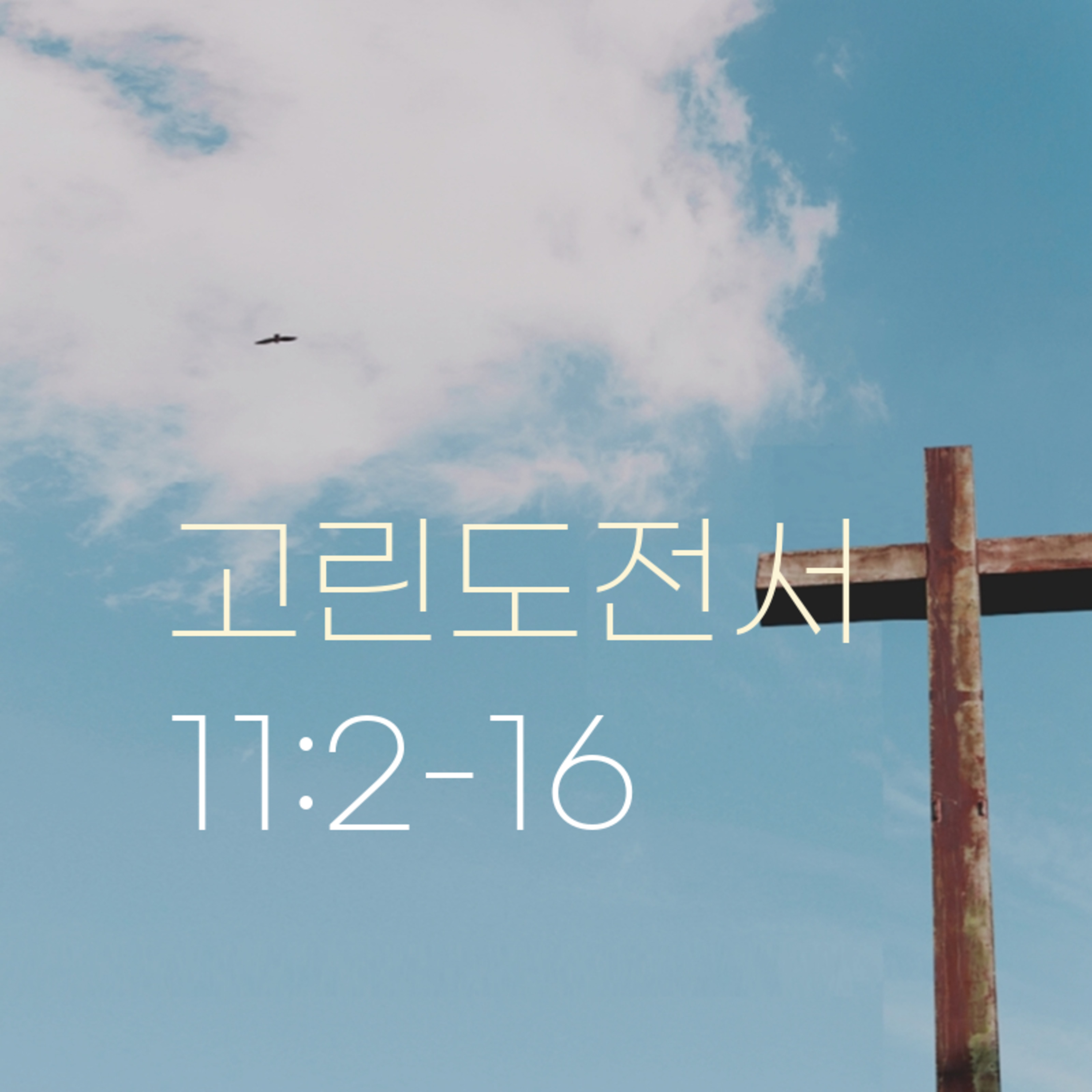 260617 새벽 | 고린도전서 11:2-16 | 대학촌교회 | 매일성경 episode artwork