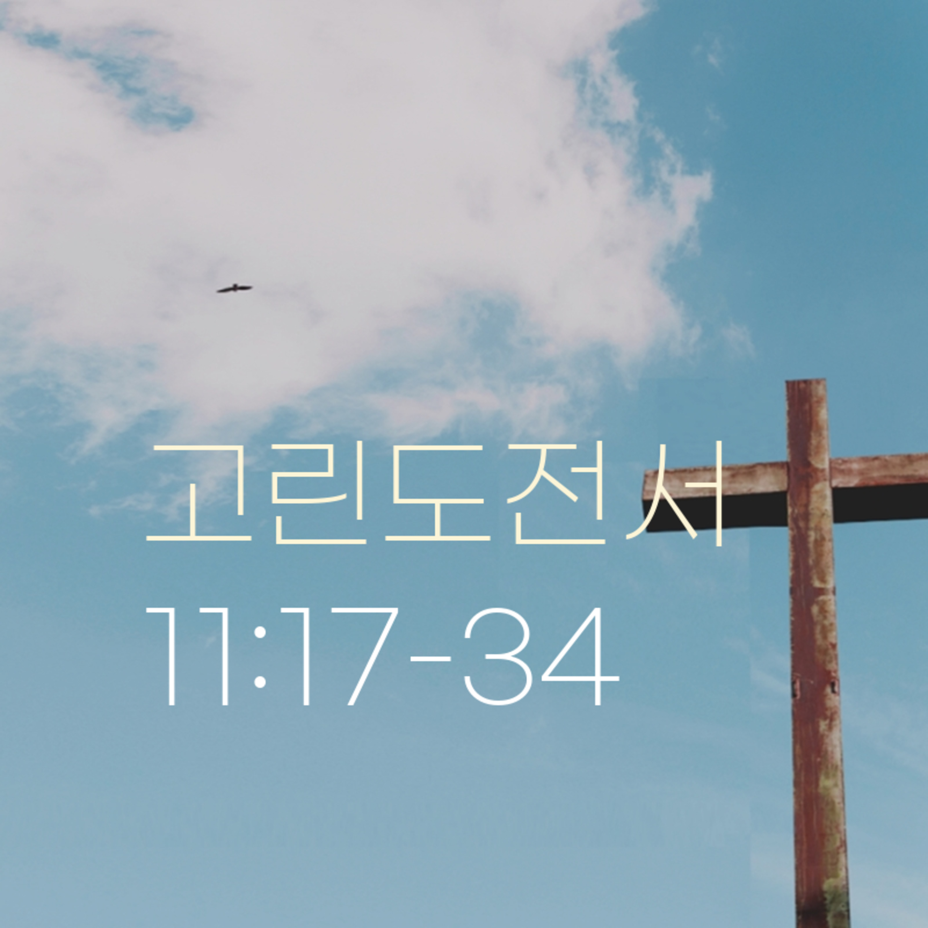 260618 새벽 | 고린도전서 11:17-34 | 대학촌교회 | 매일성경 episode artwork