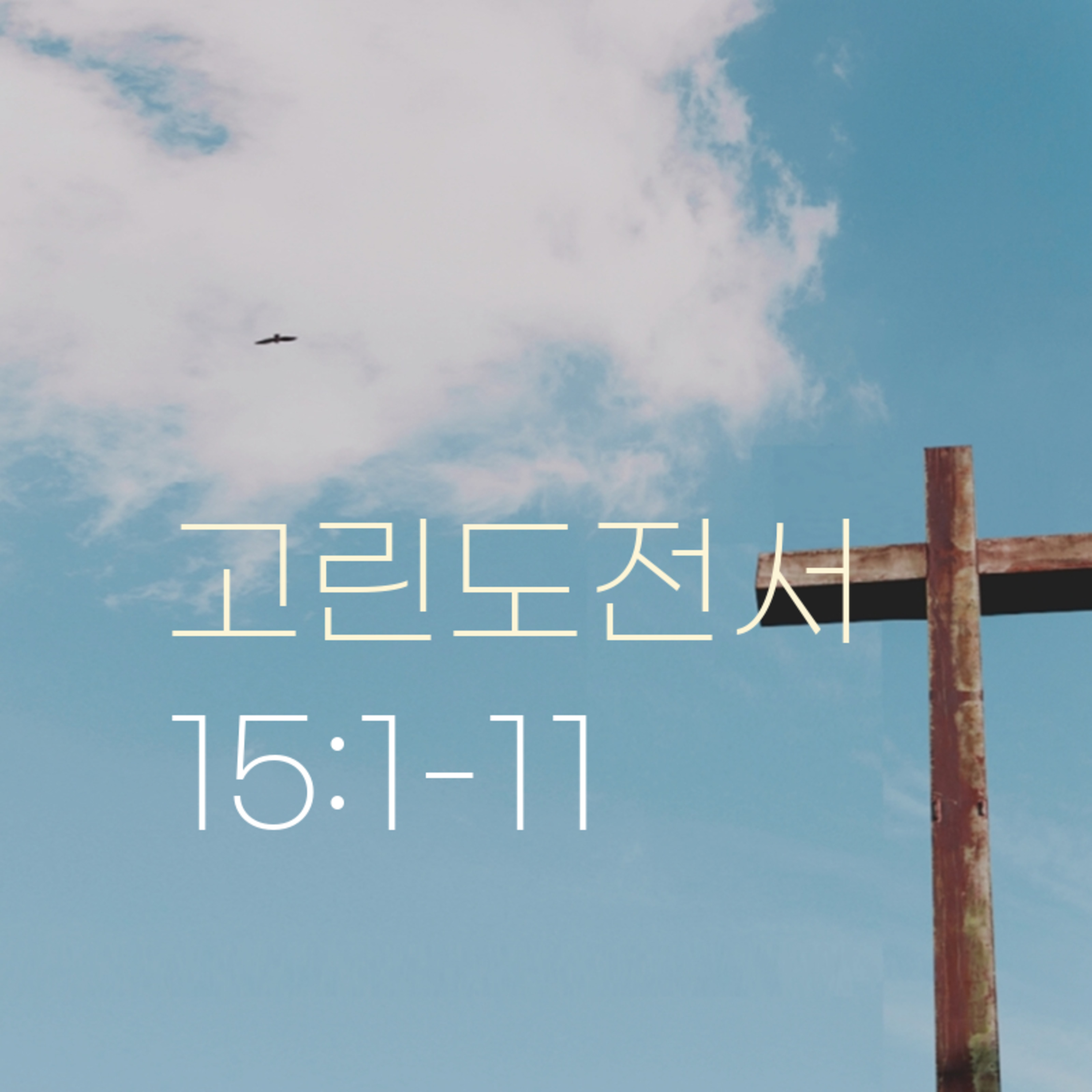 260624 새벽 | 고린도전서 15:1-11 | 대학촌교회 | 매일성경 episode artwork
