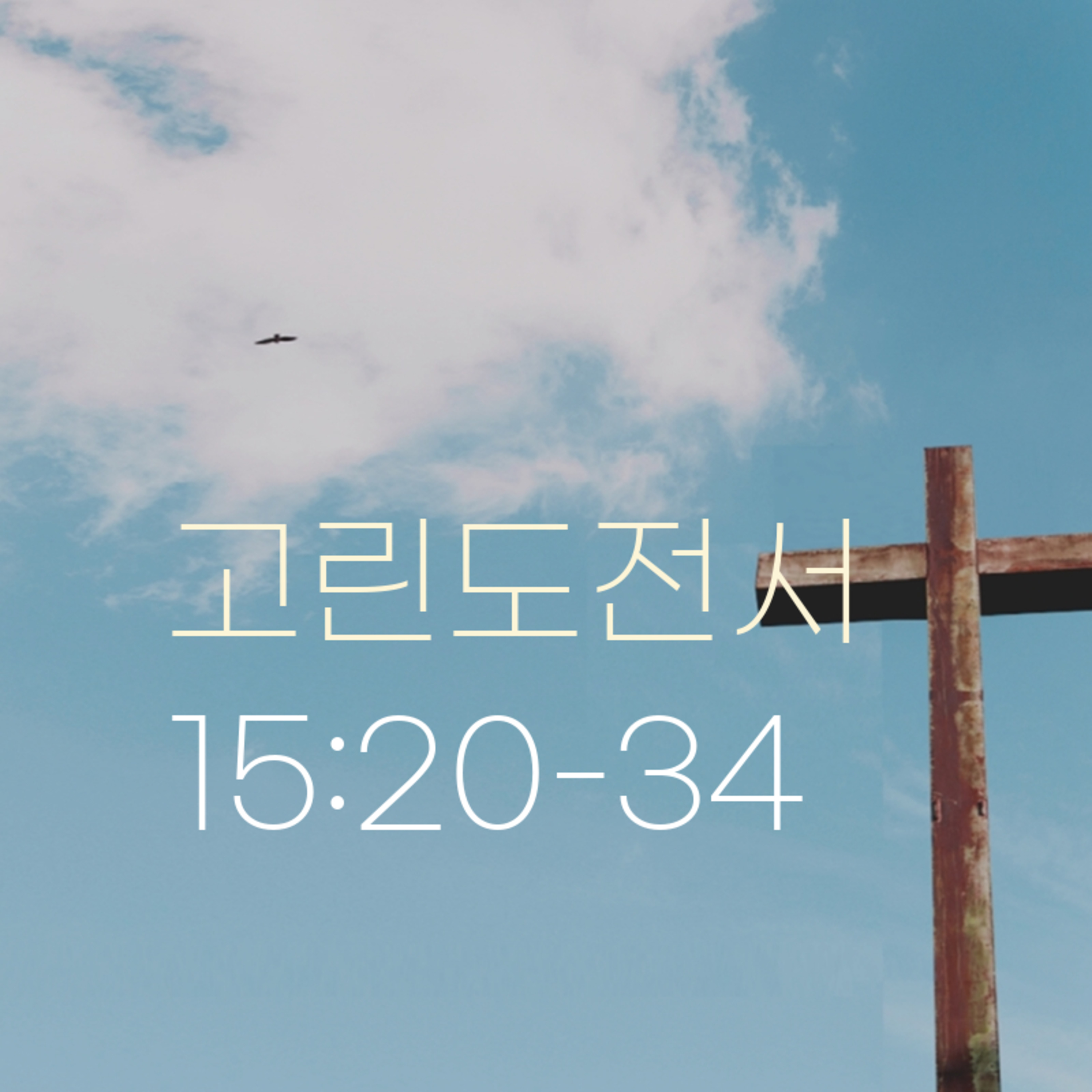 260626 새벽 | 고린도전서 15:20-34 | 대학촌교회 | 매일성경 episode artwork
