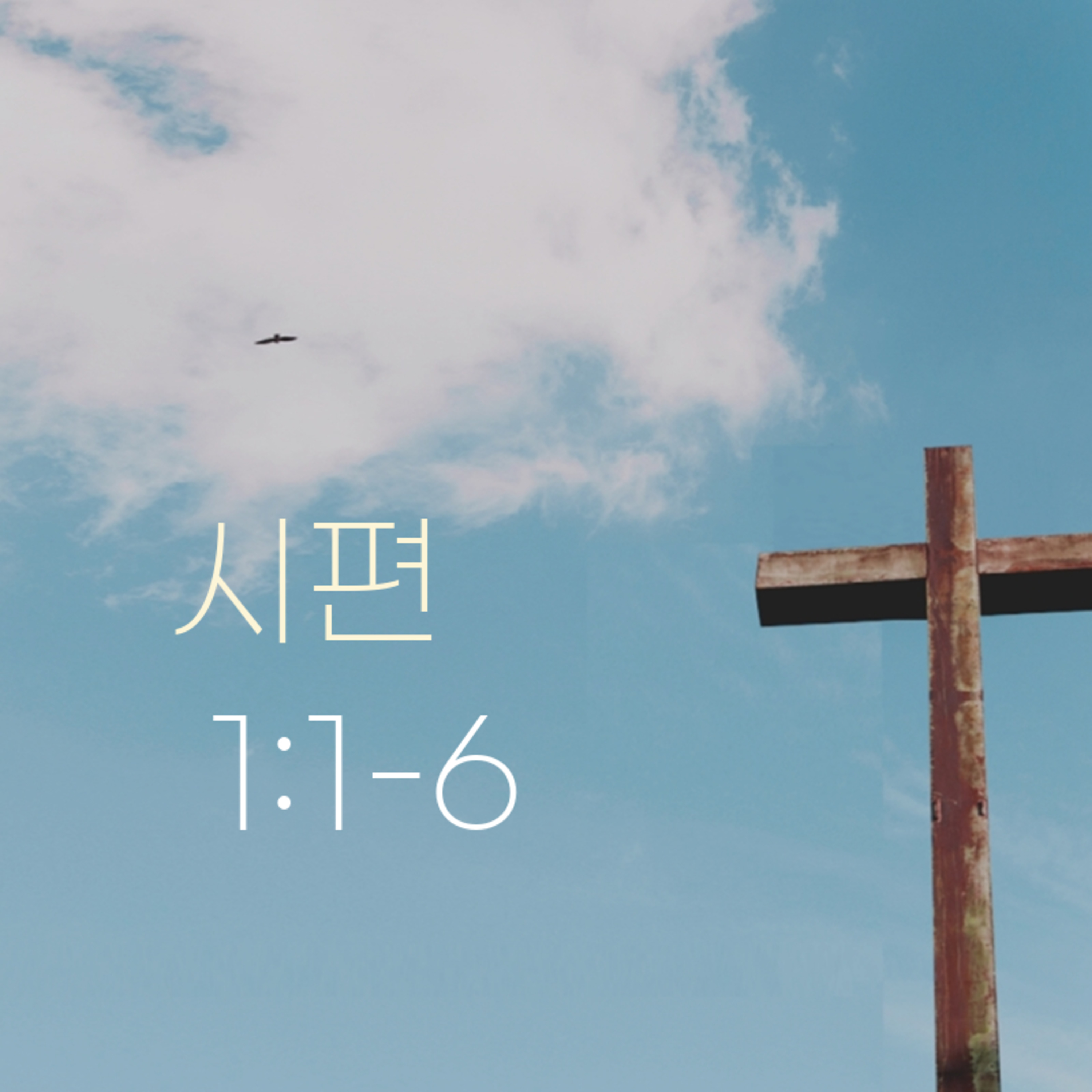 260701 새벽 | 시편 1:1-6 | 대학촌교회 | 매일성경 episode artwork