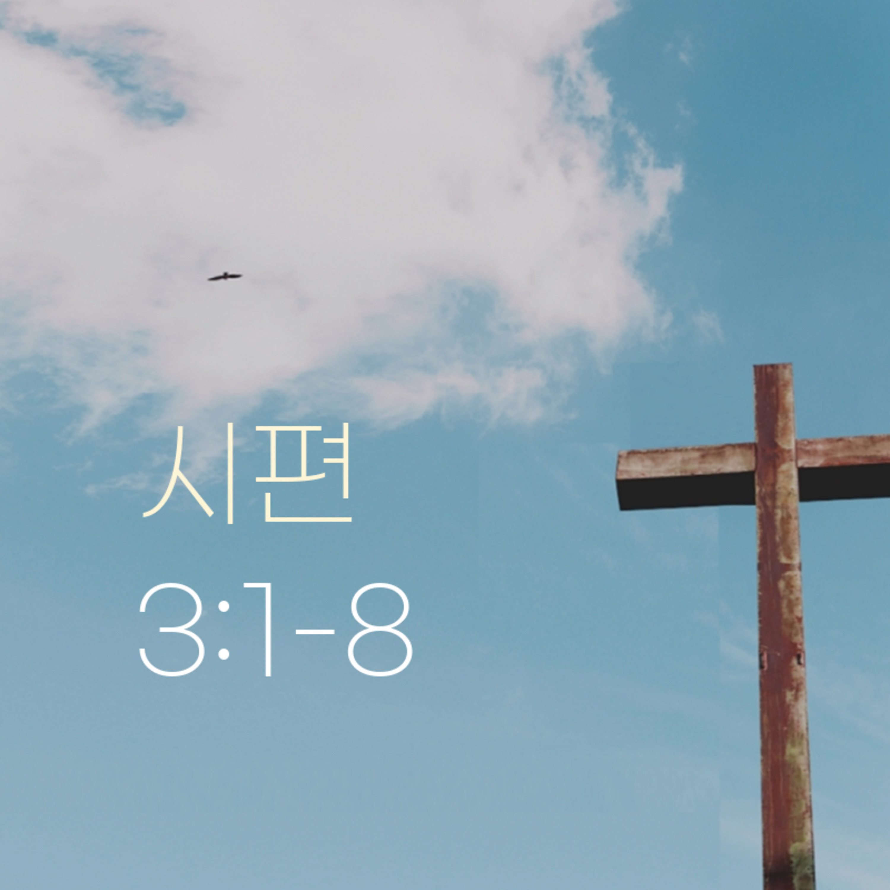 260703 새벽 | 시편 3:1-8 | 대학촌교회 | 매일성경 episode artwork