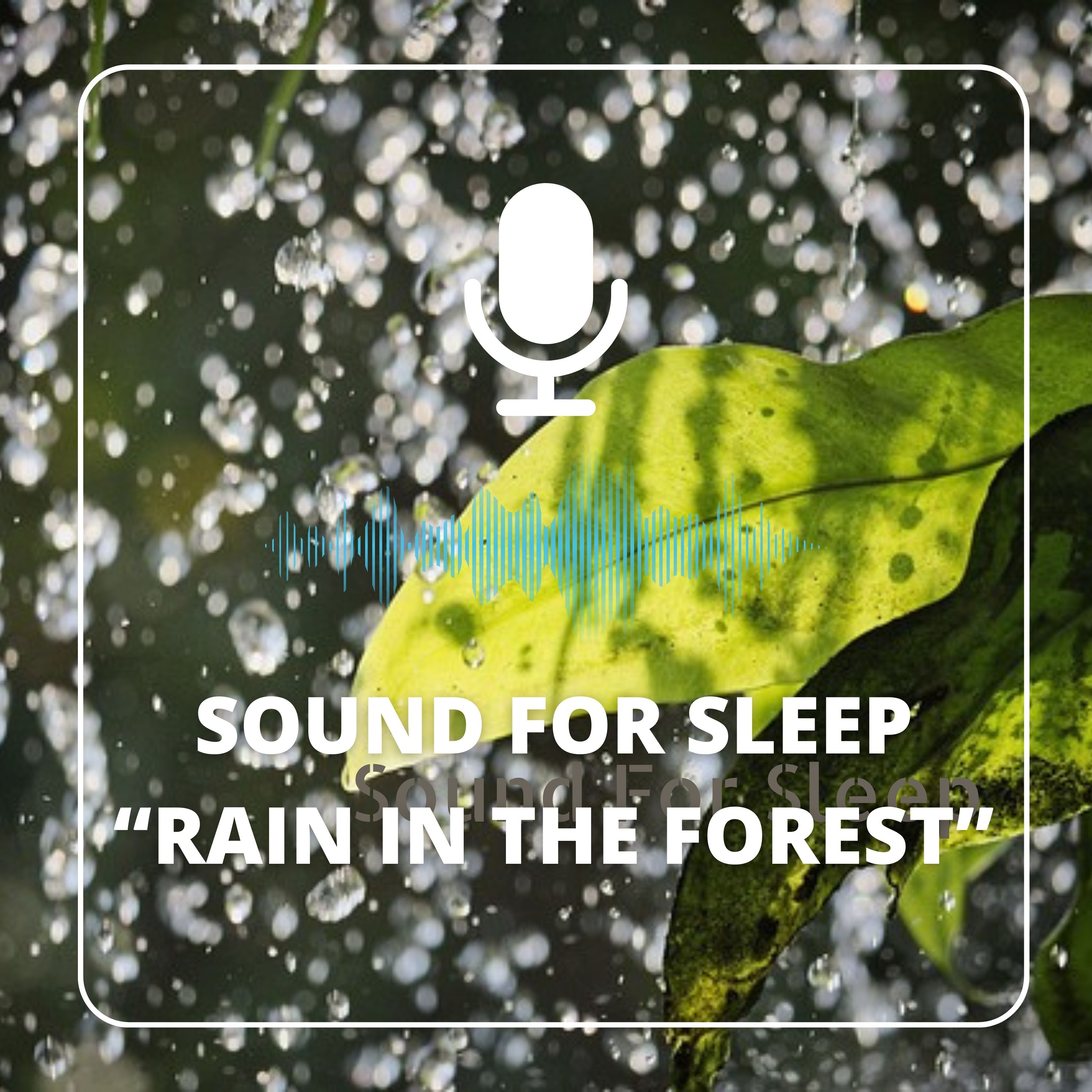 Sound for sleep - Rain in the forest - 5 hours episode artwork