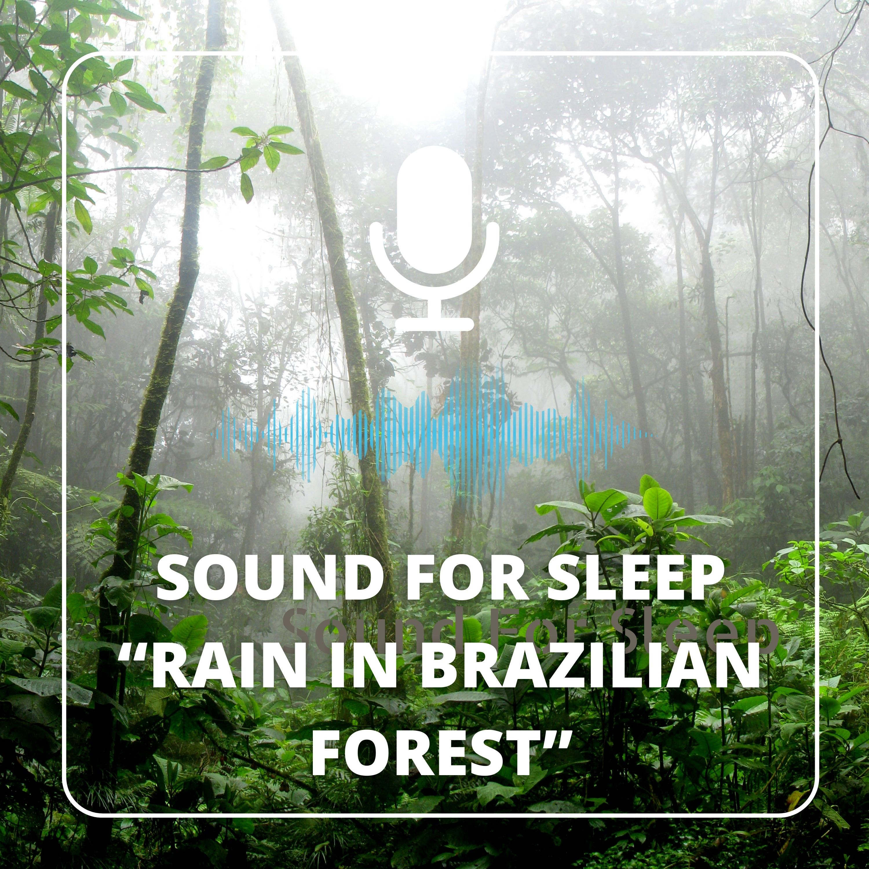 Sound for sleep - Rain in Brazilian forest - 3 hours episode artwork