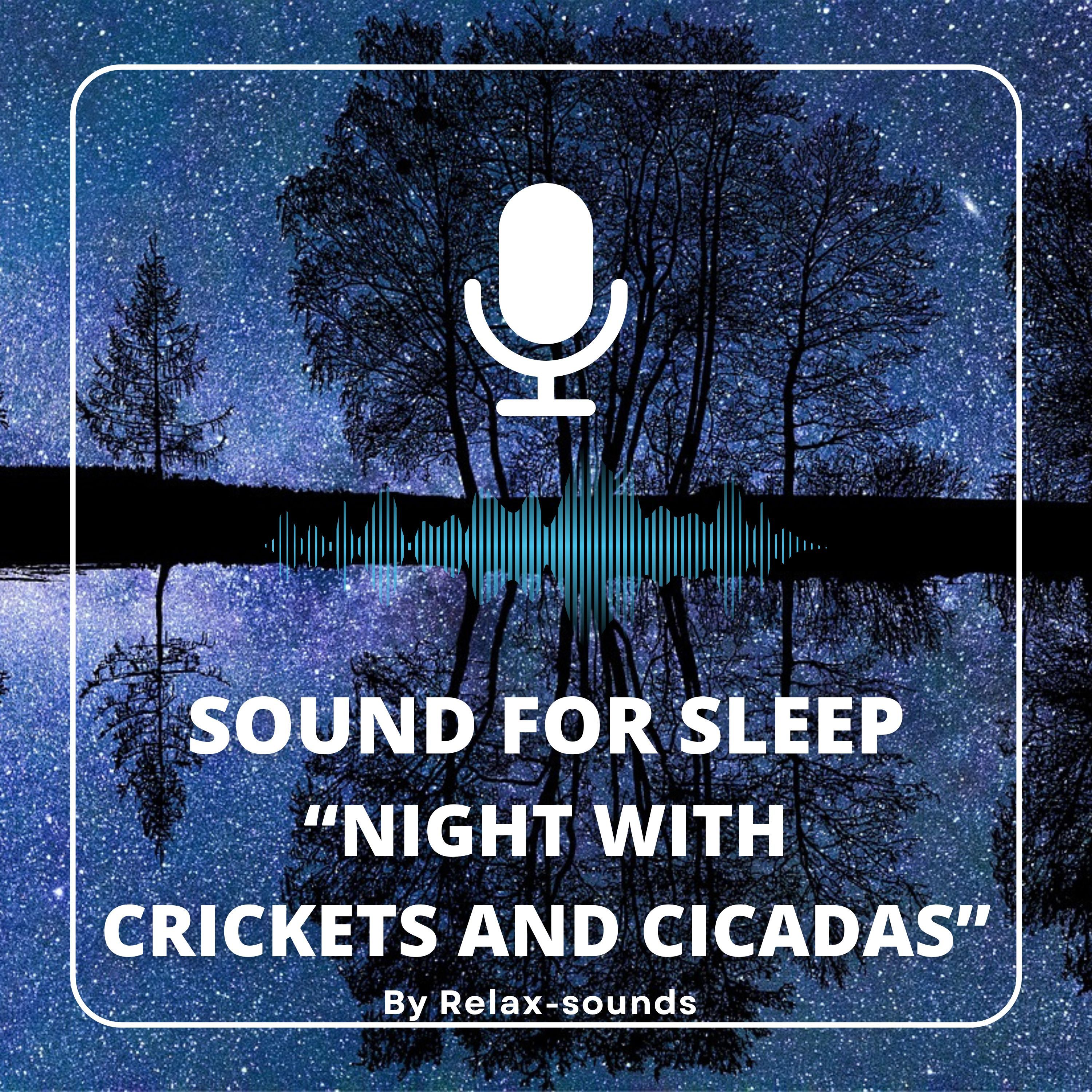 Sound for sleep | Night with Cricked and Cicadas | 3 hours episode artwork
