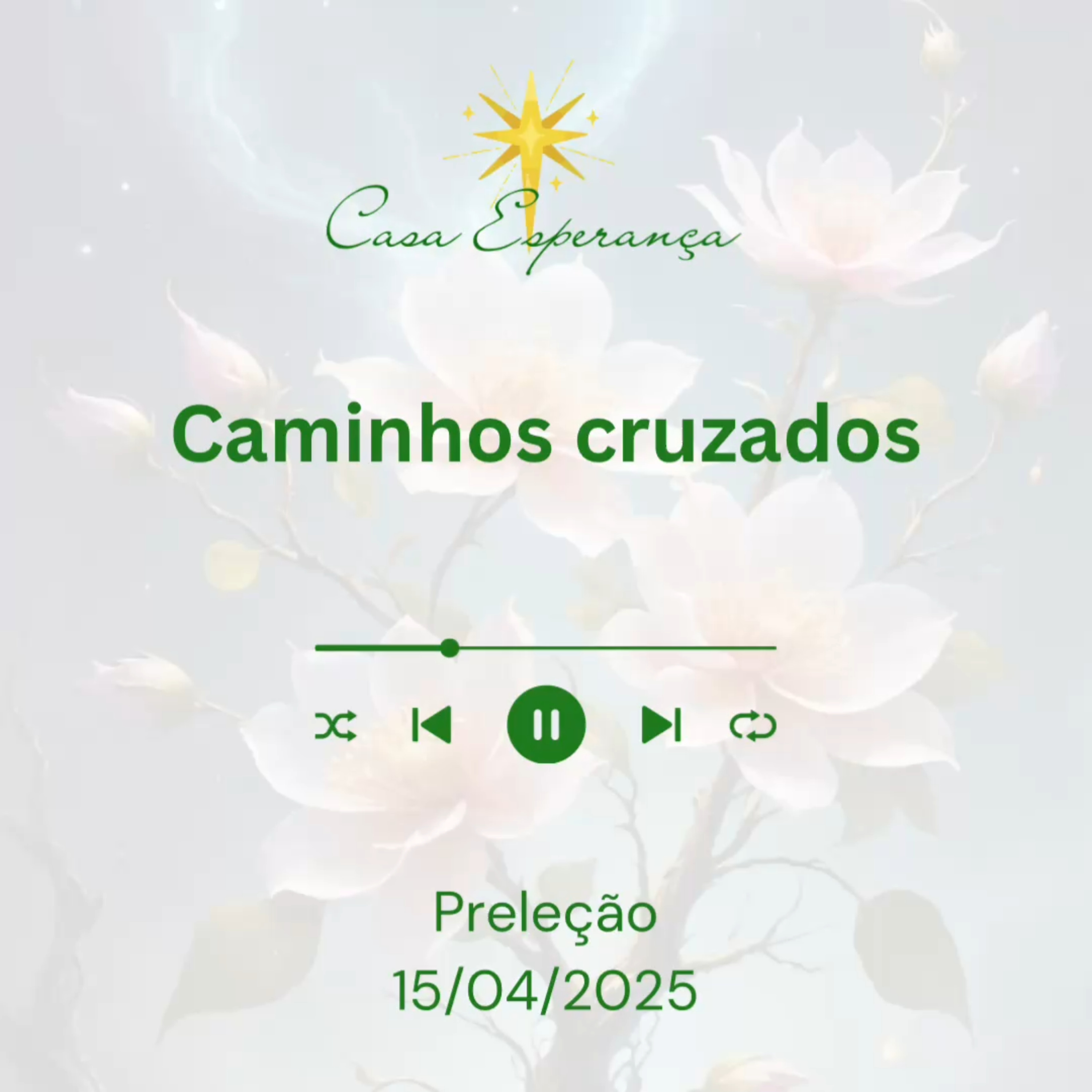 Caminhos cruzados episode artwork