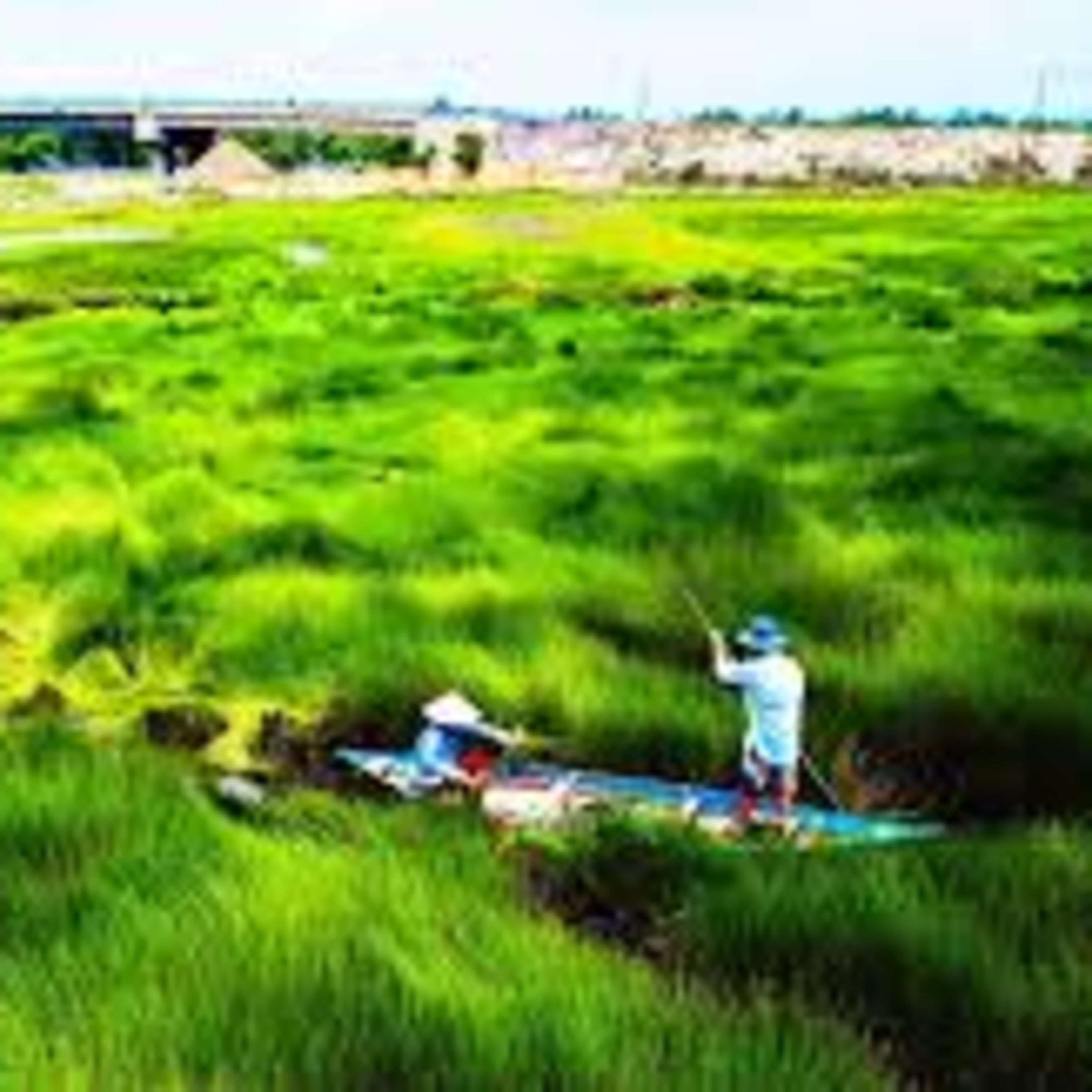 “Chuyến trở về của cỏ”: Số phận người nông dân trong chiến tranh loạn lạc