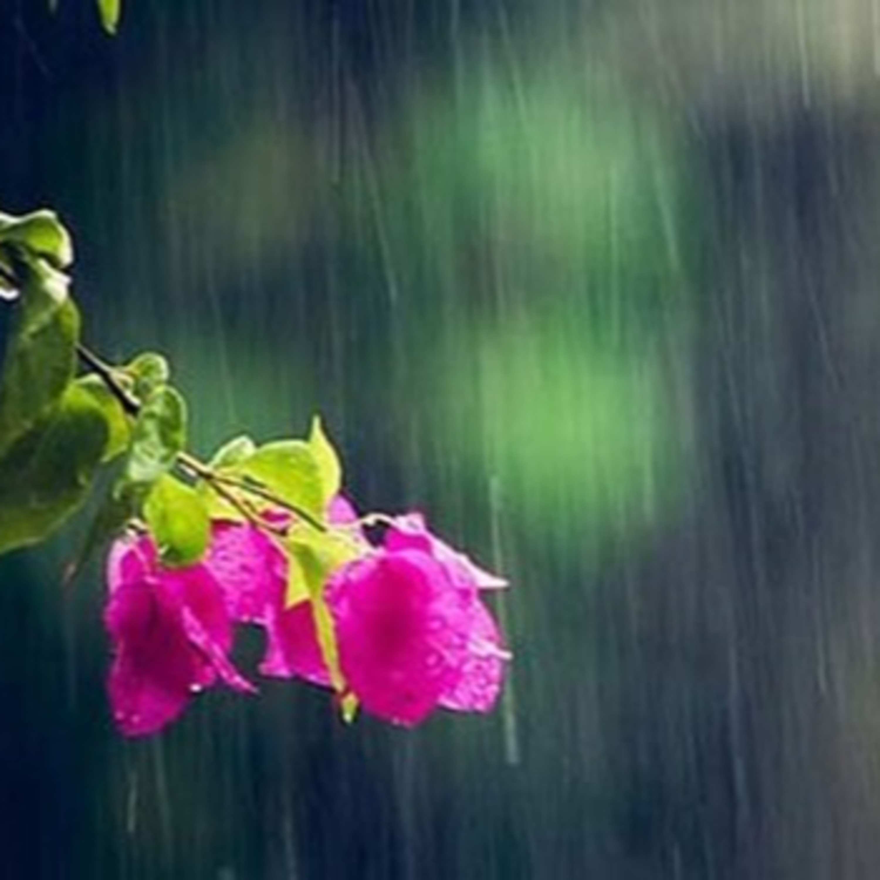 “Sinh ra từ mưa”: Mênh mông kiếp người
