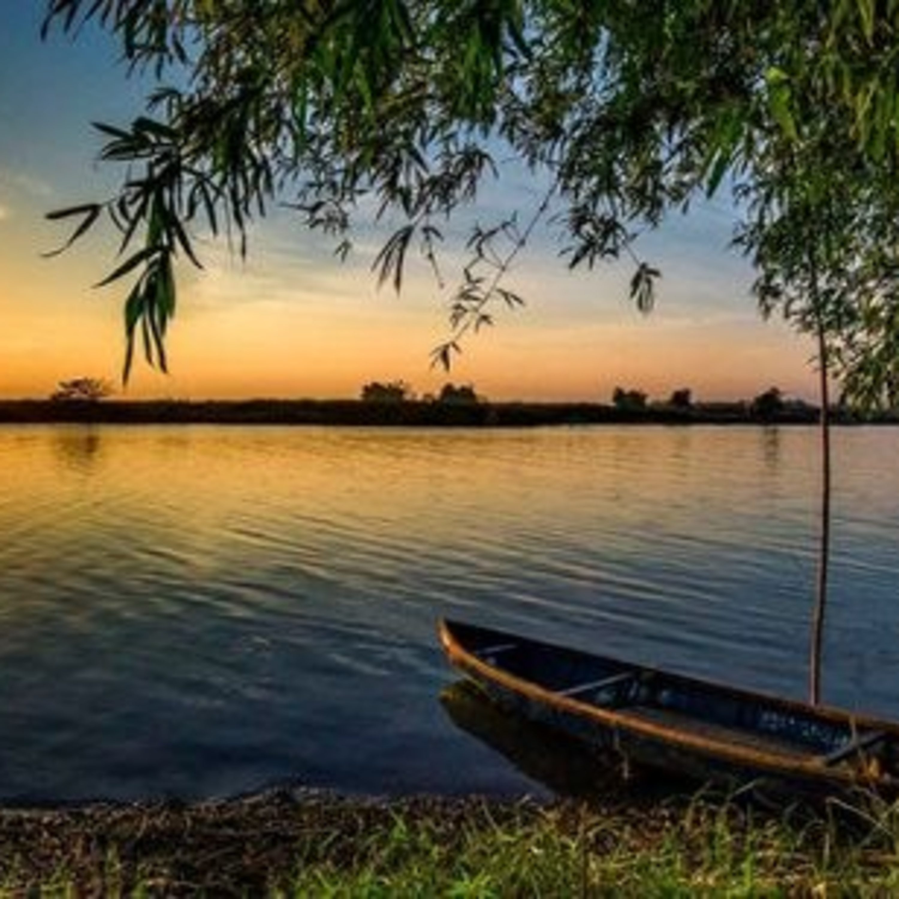 “Tiếng gọi đò khuya khoắt”: Lặng thầm một tình yêu