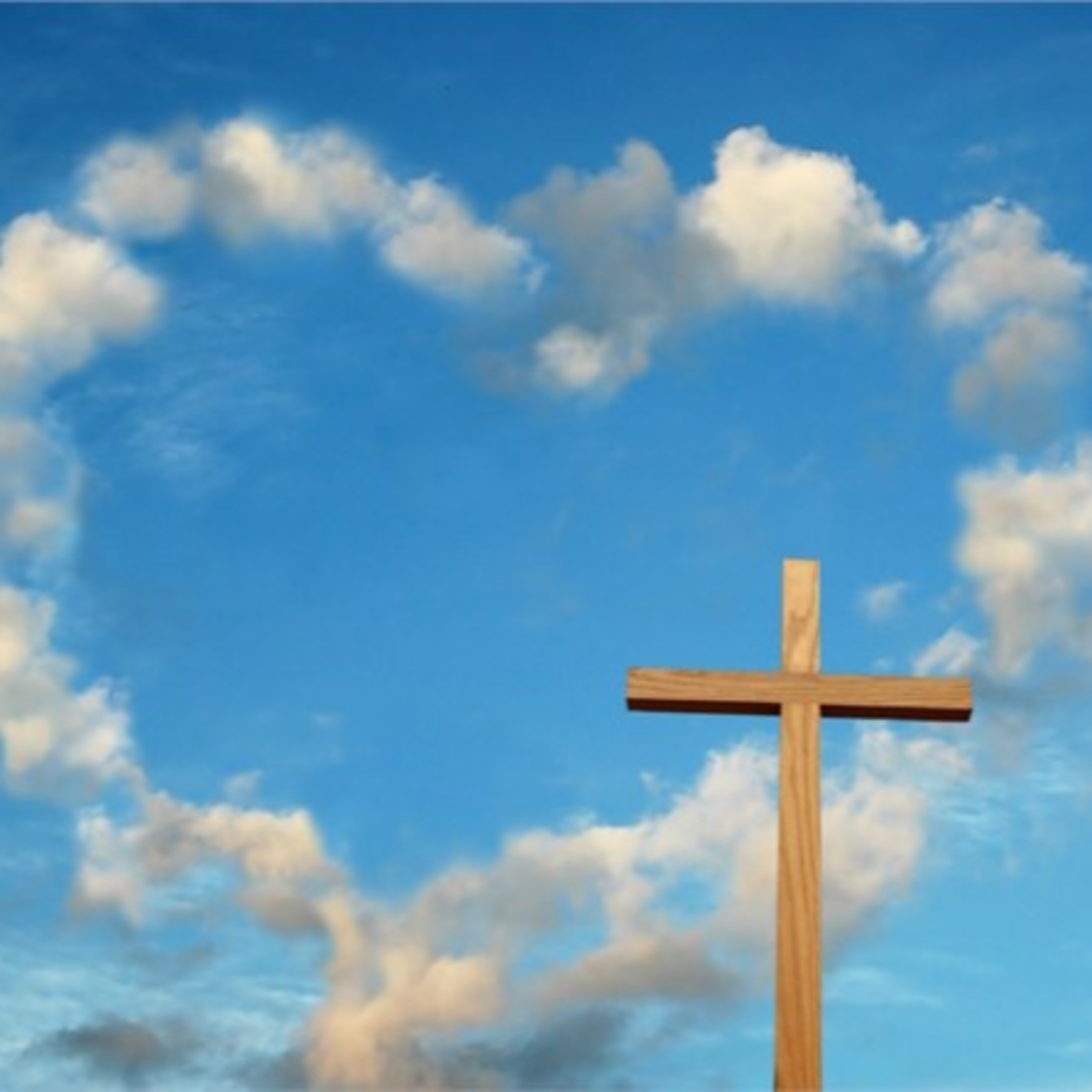 "Người mang thánh giá" - Câu chuyện hậu chiến từ một góc nhìn khác