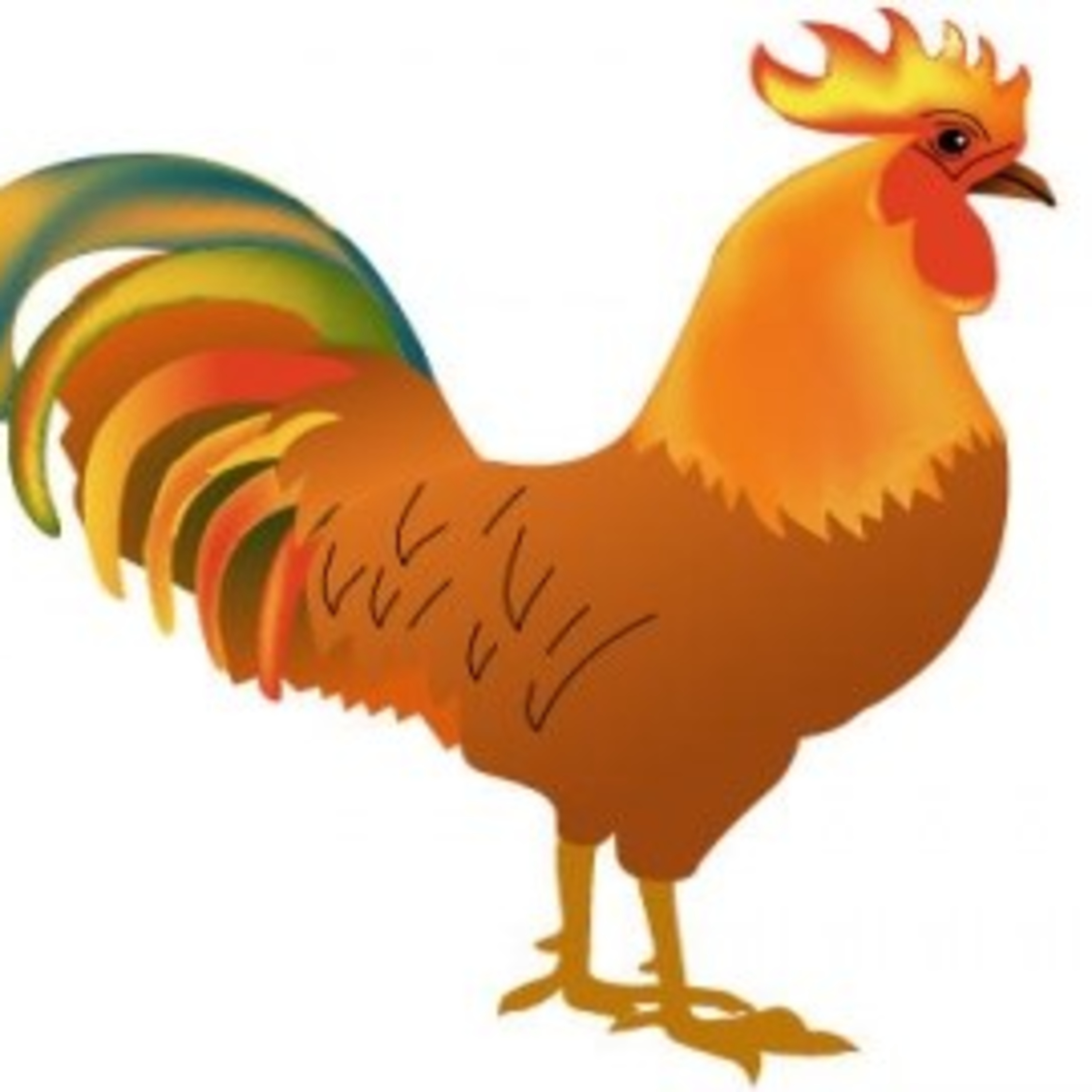 Gà Trống Mào Vàng – Câu Chuyện Về Sự Khác Biệt Và Giá Trị Bản Thân