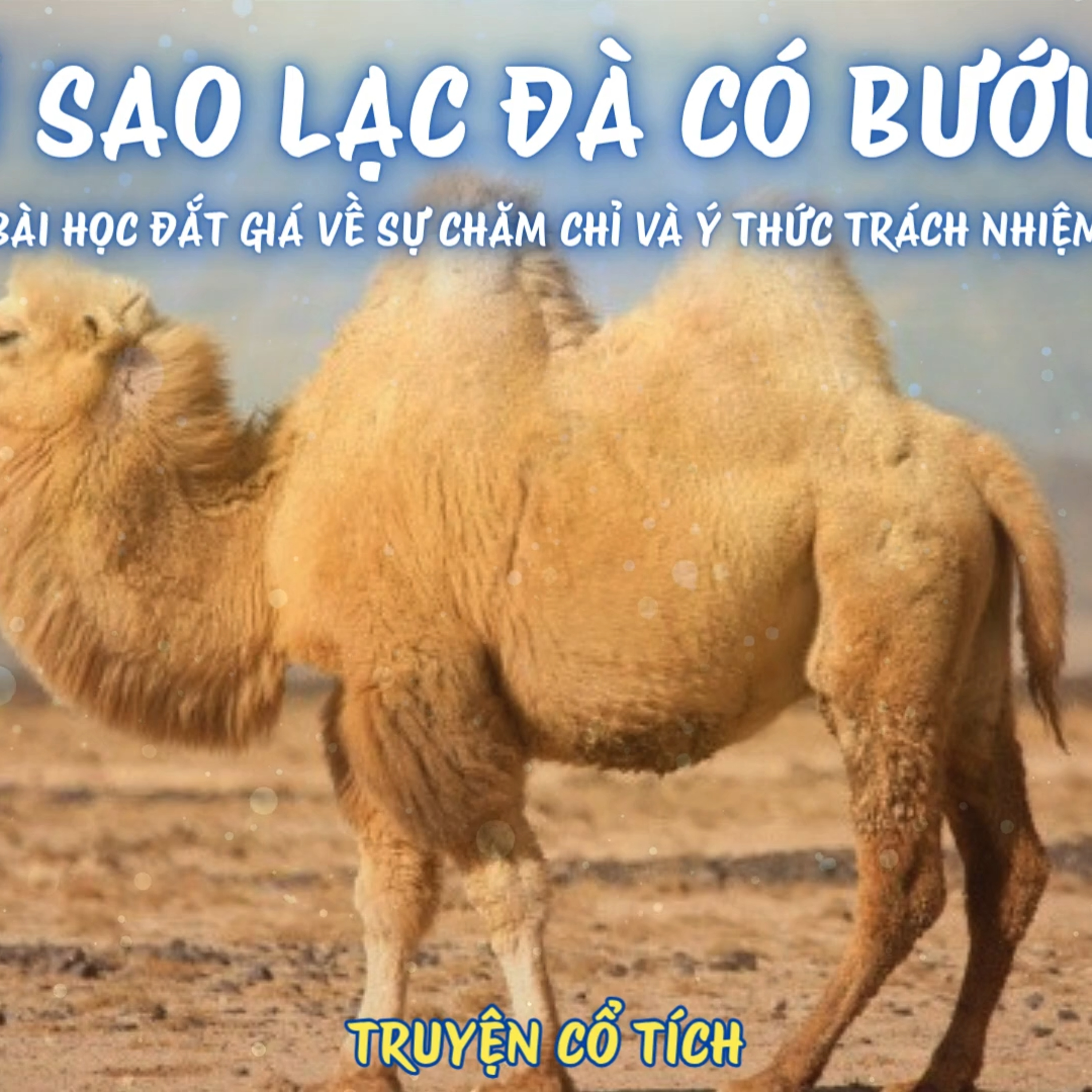  Vì Sao Lạc Đà Có Bướu? – Bài Học Đắt Giá Về Sự Chăm Chỉ Và Ý Thức Trách Nhiệm