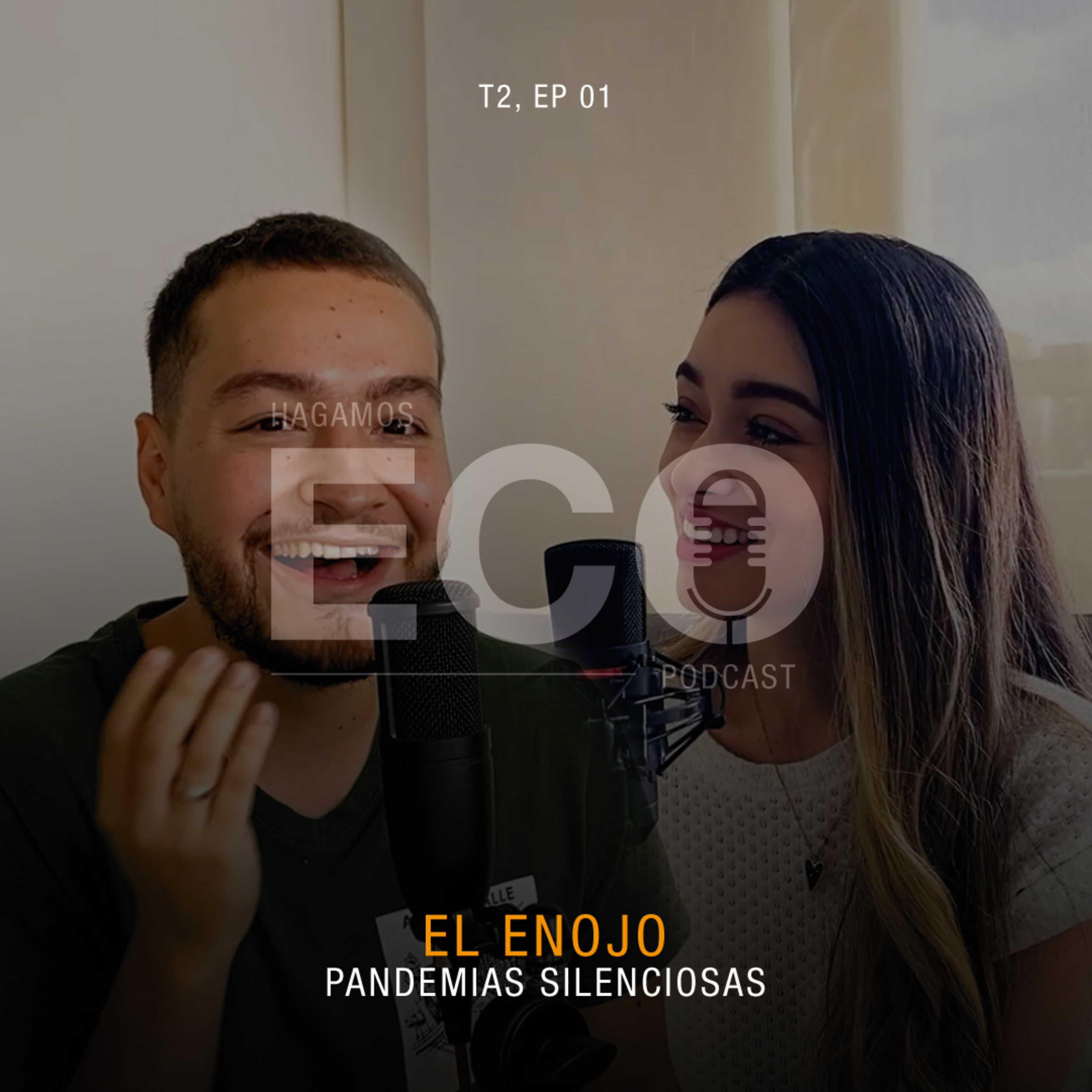 10 - El Enojo / Pandemias Silenciosas episode artwork