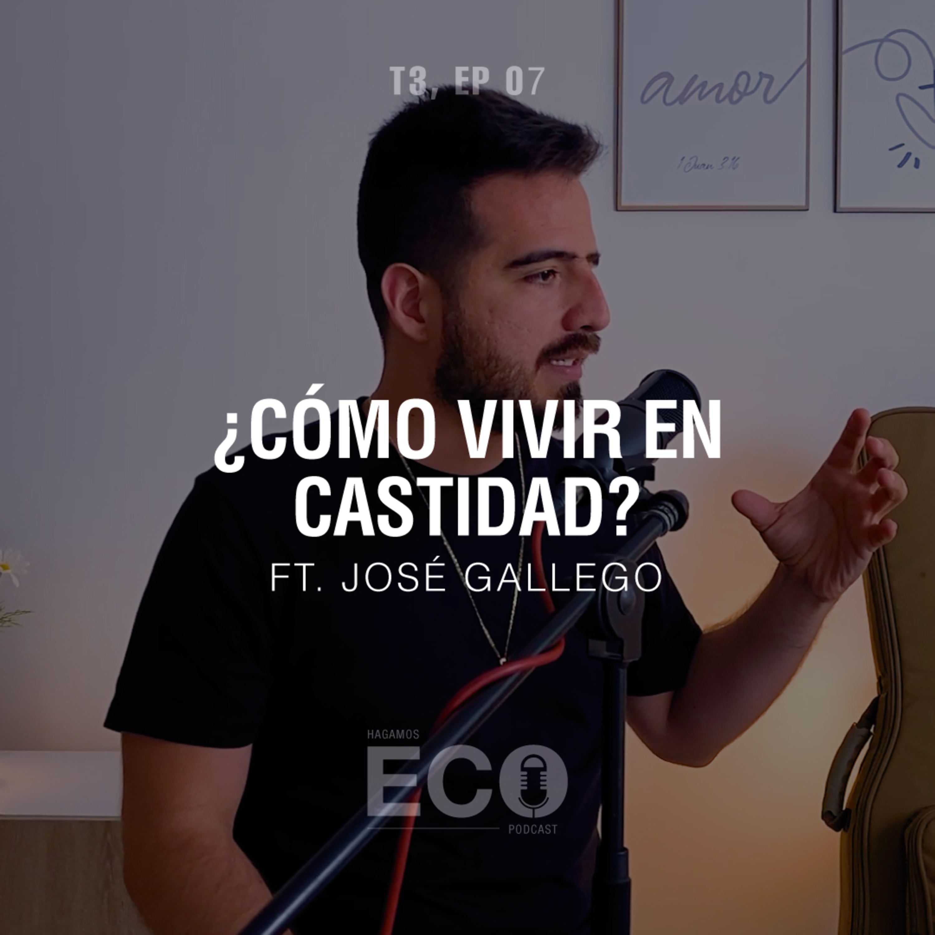 20 - ¿Cómo vivir en CASTIDAD? Ft. José Gallego episode artwork