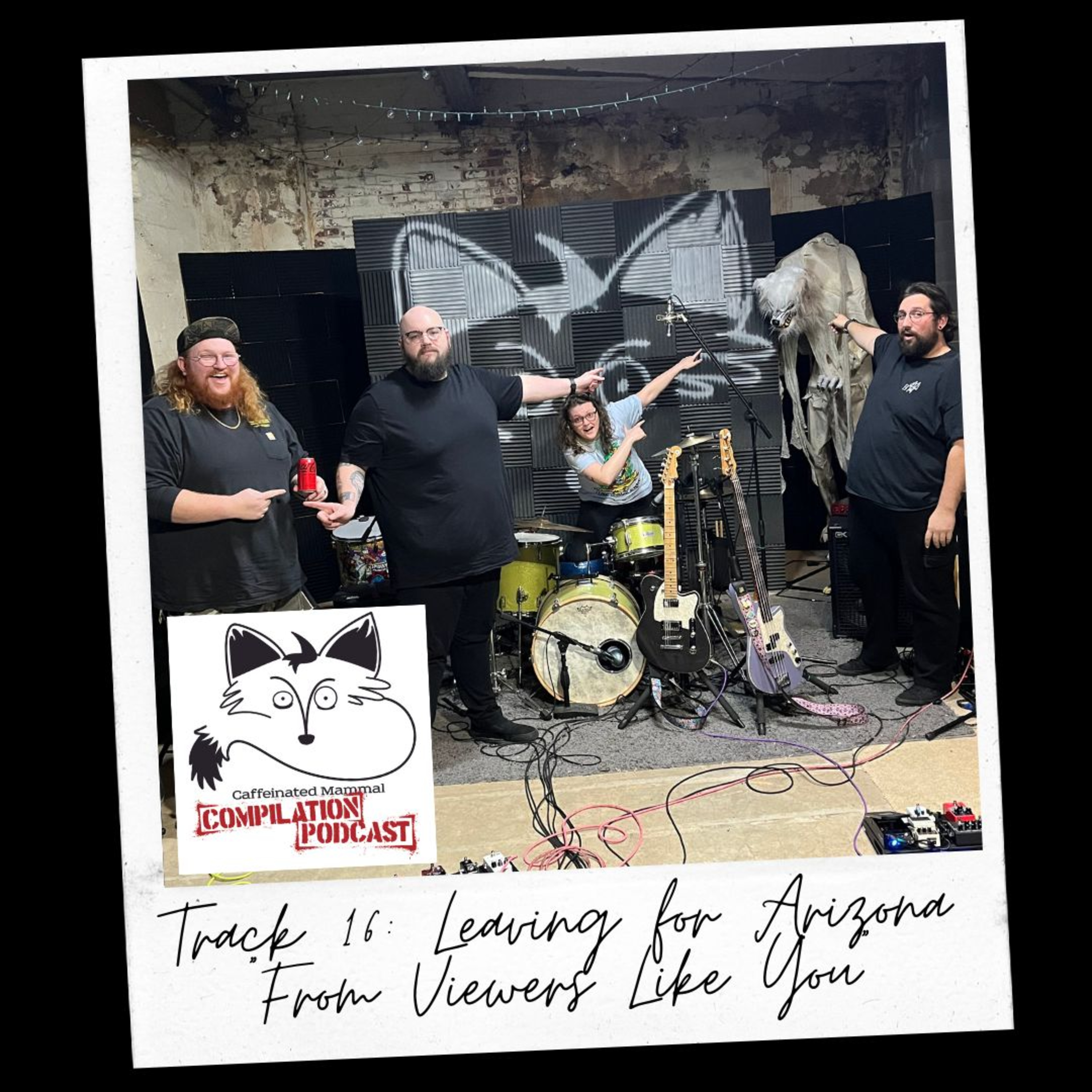 Track 16: Leaving for Arizona - "From Viewers Like You" episode artwork
