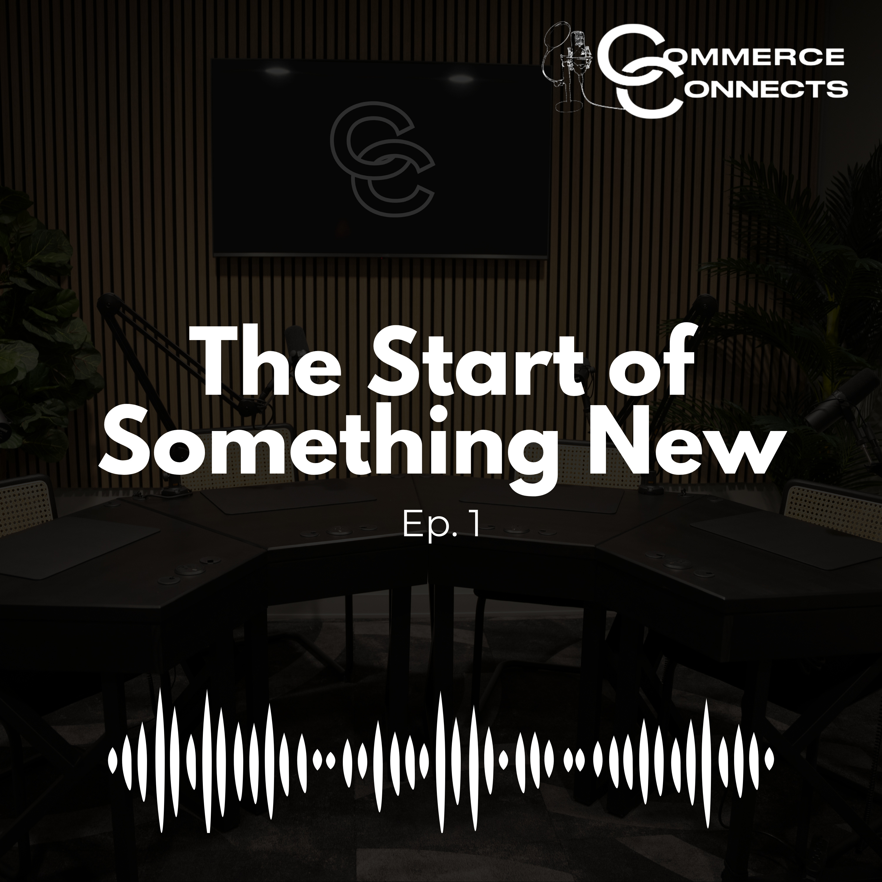 Commerce Connects