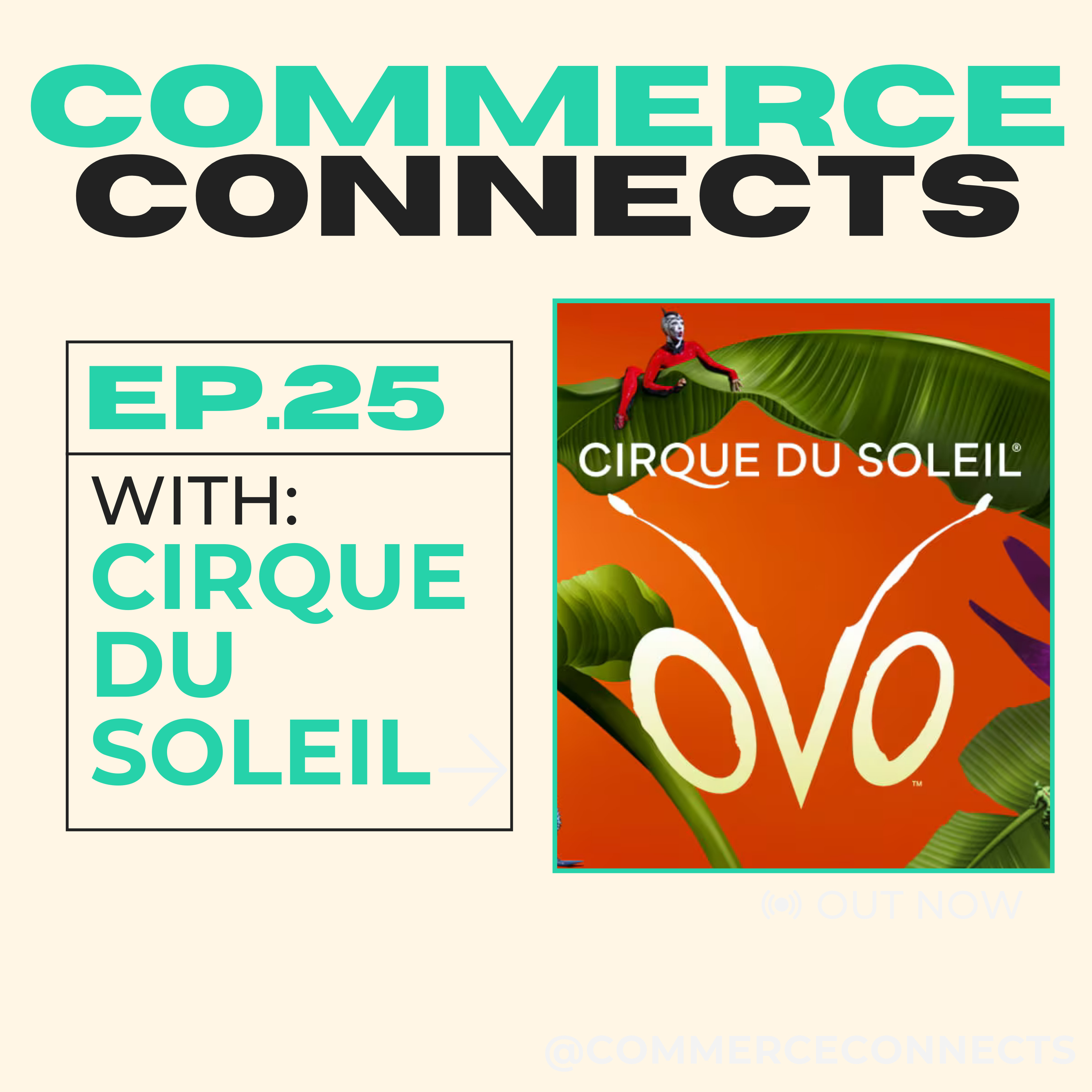 Commerce Connects
