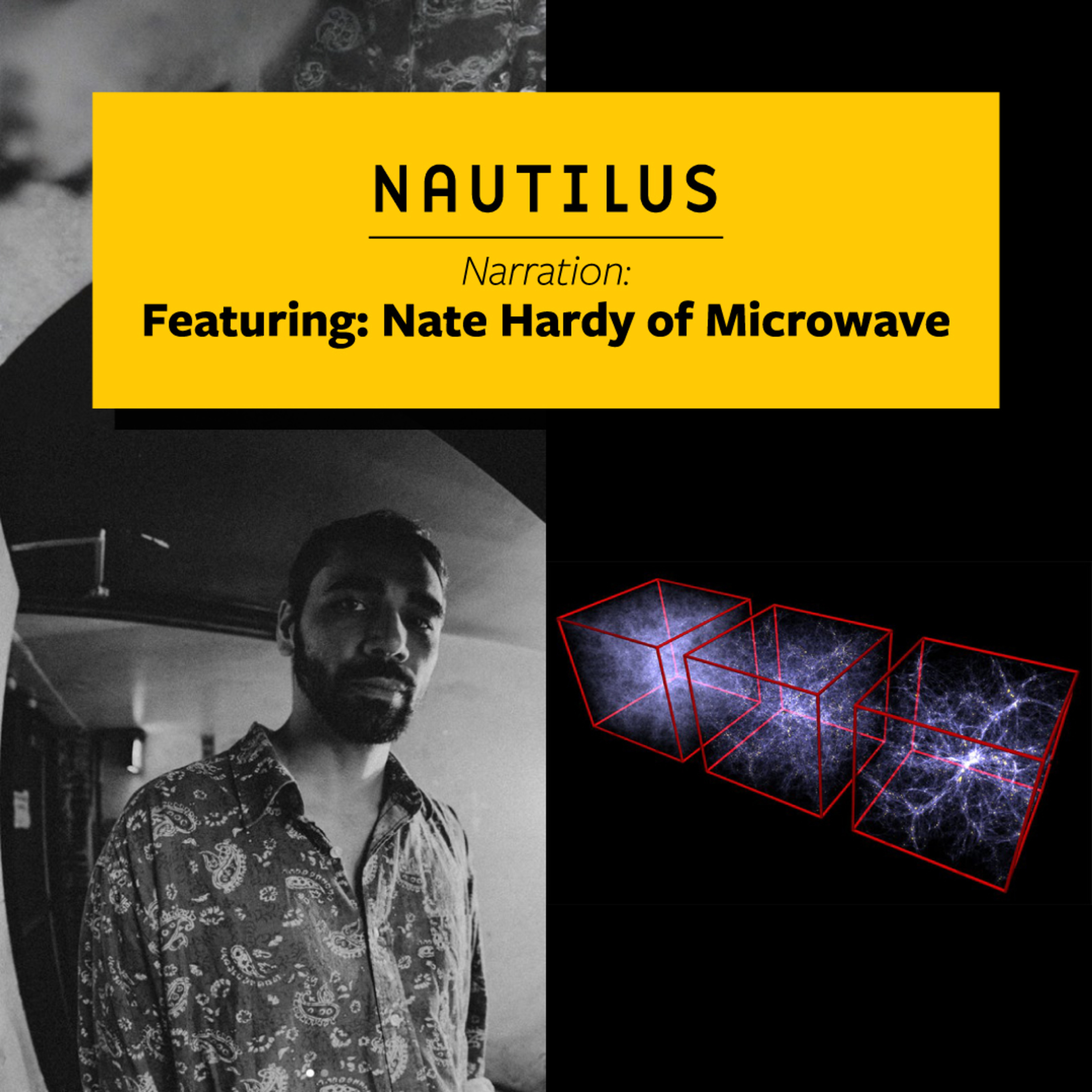 Why We Need To Study Nothing- narrated by Nate Hardy of Microwave episode artwork