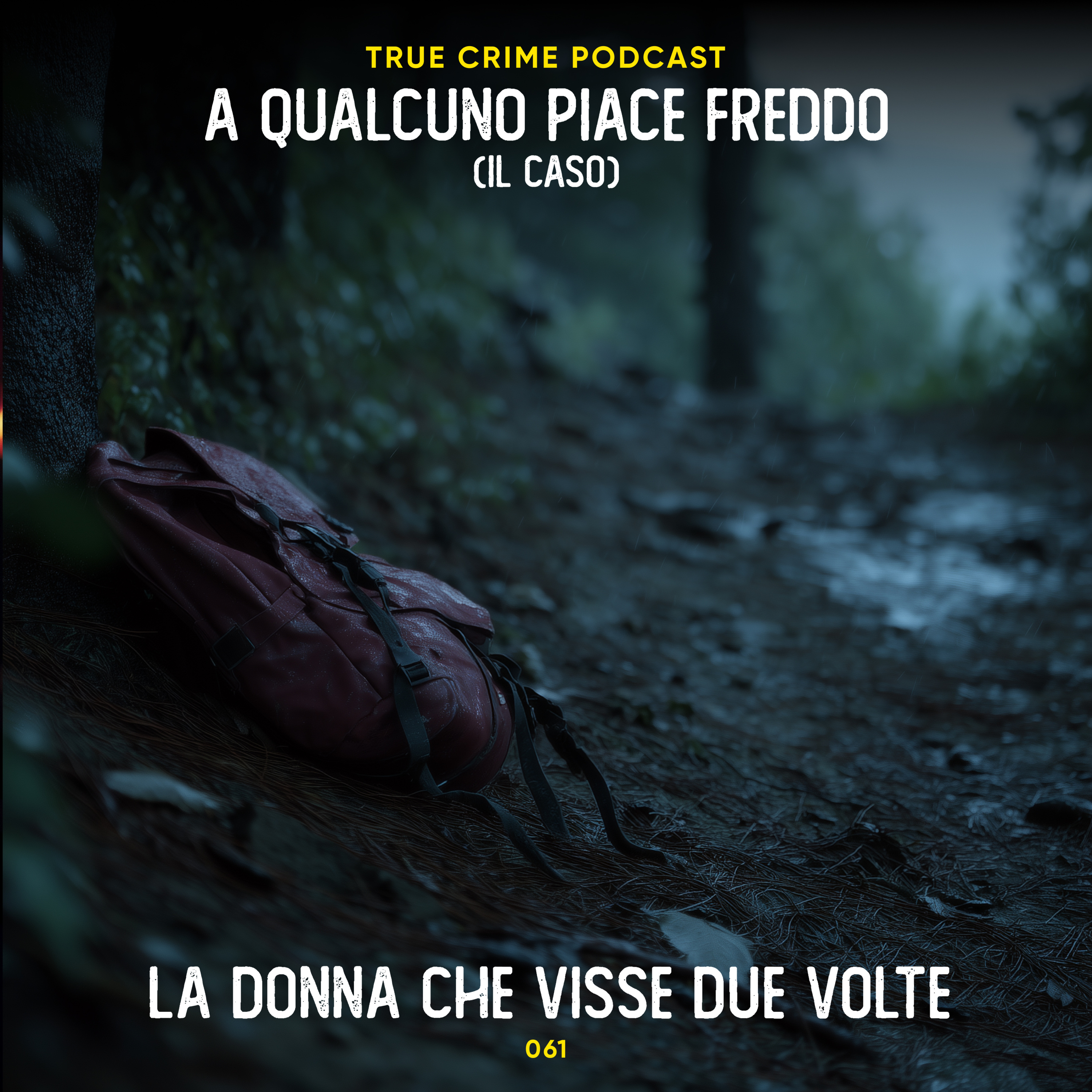 061 - La donna che visse due volte | Il caso di Judy Smith