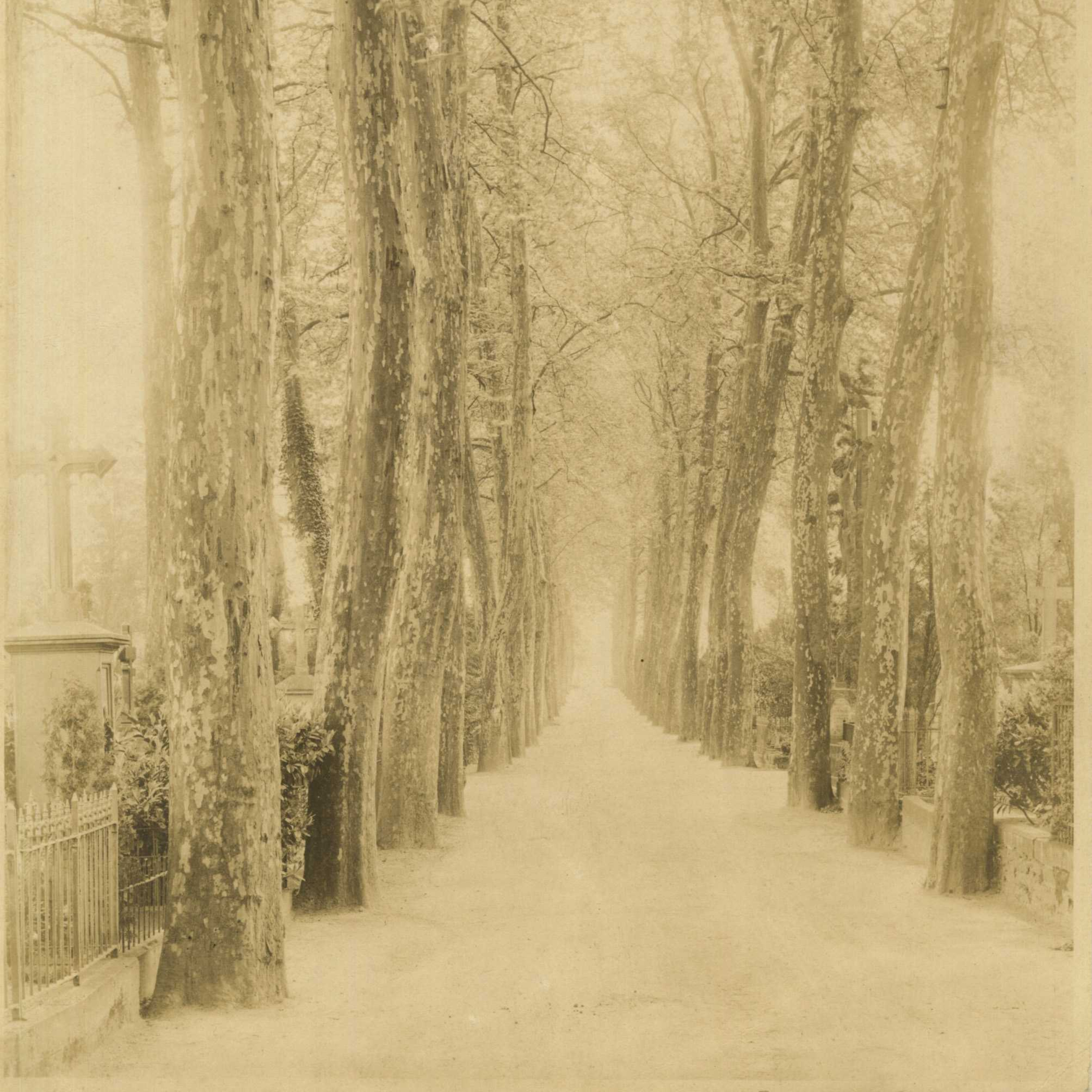 17. Der Koblenzer Hauptfriedhof episode artwork