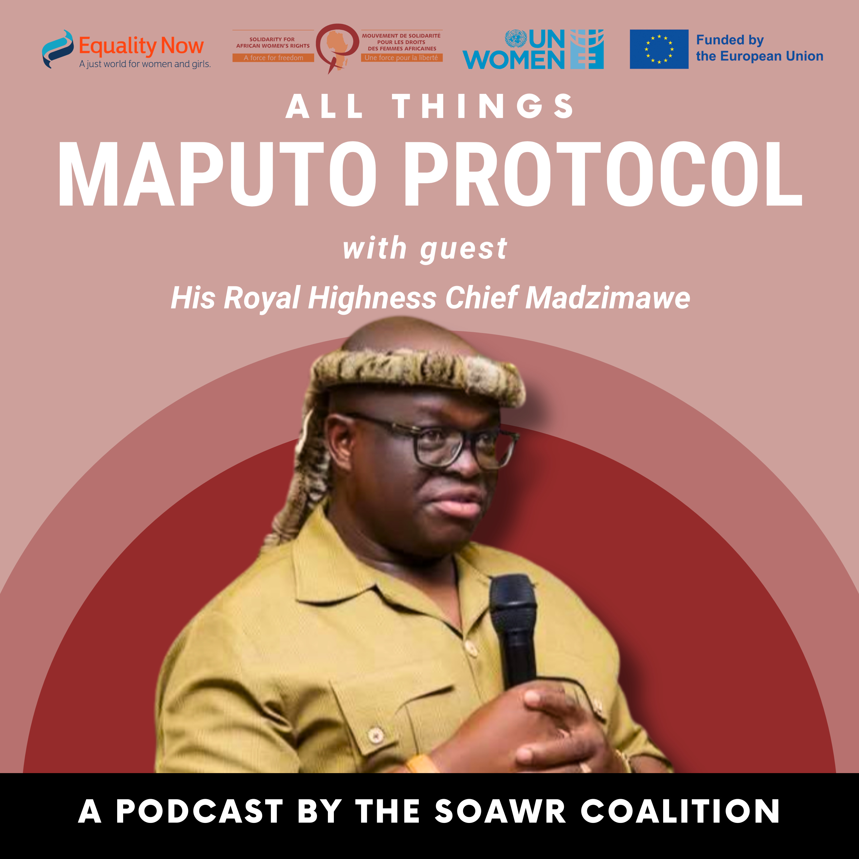 Traditional Leaders Confronting Violence: Part 1 with HRH Chief Madzimawe